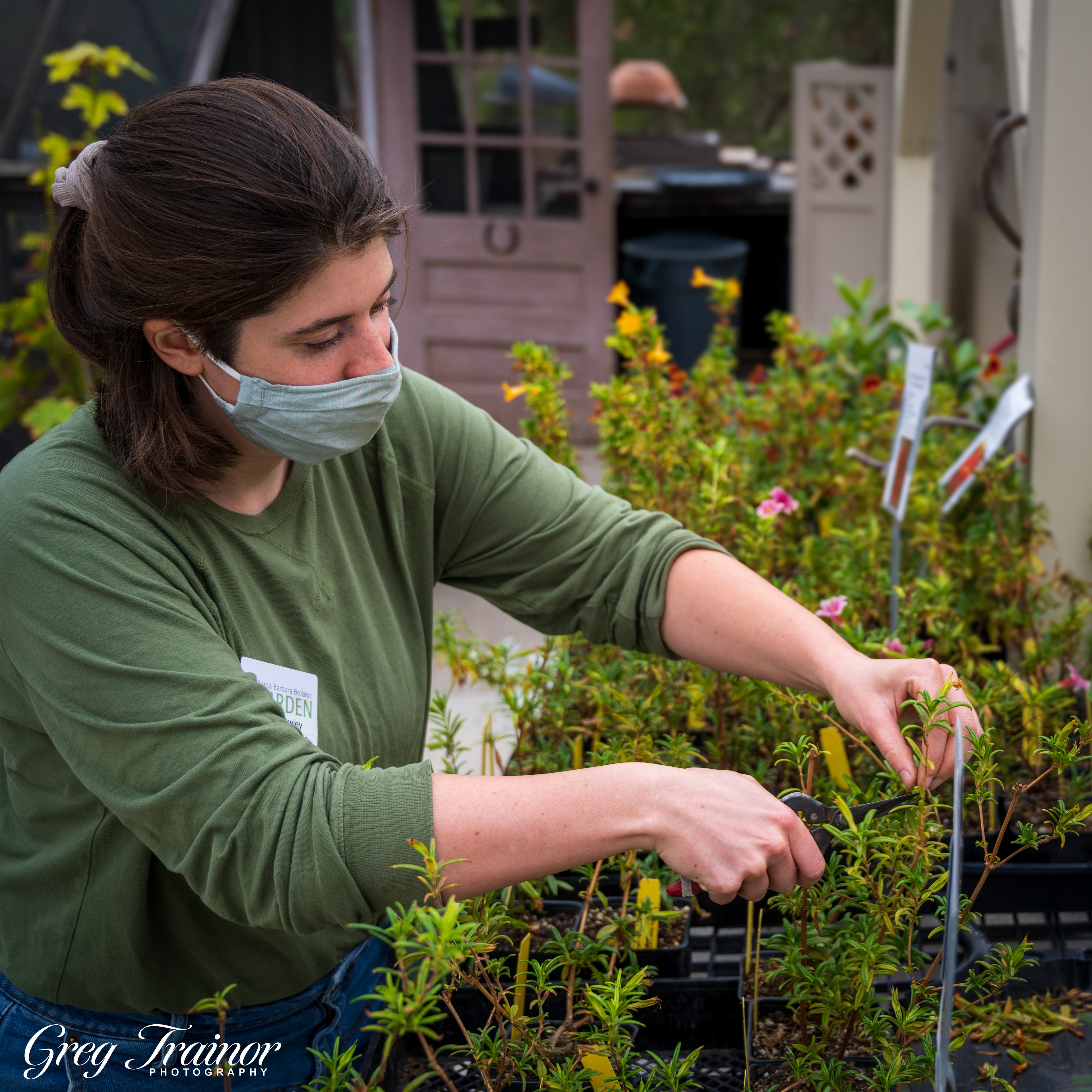 Masking at the Garden