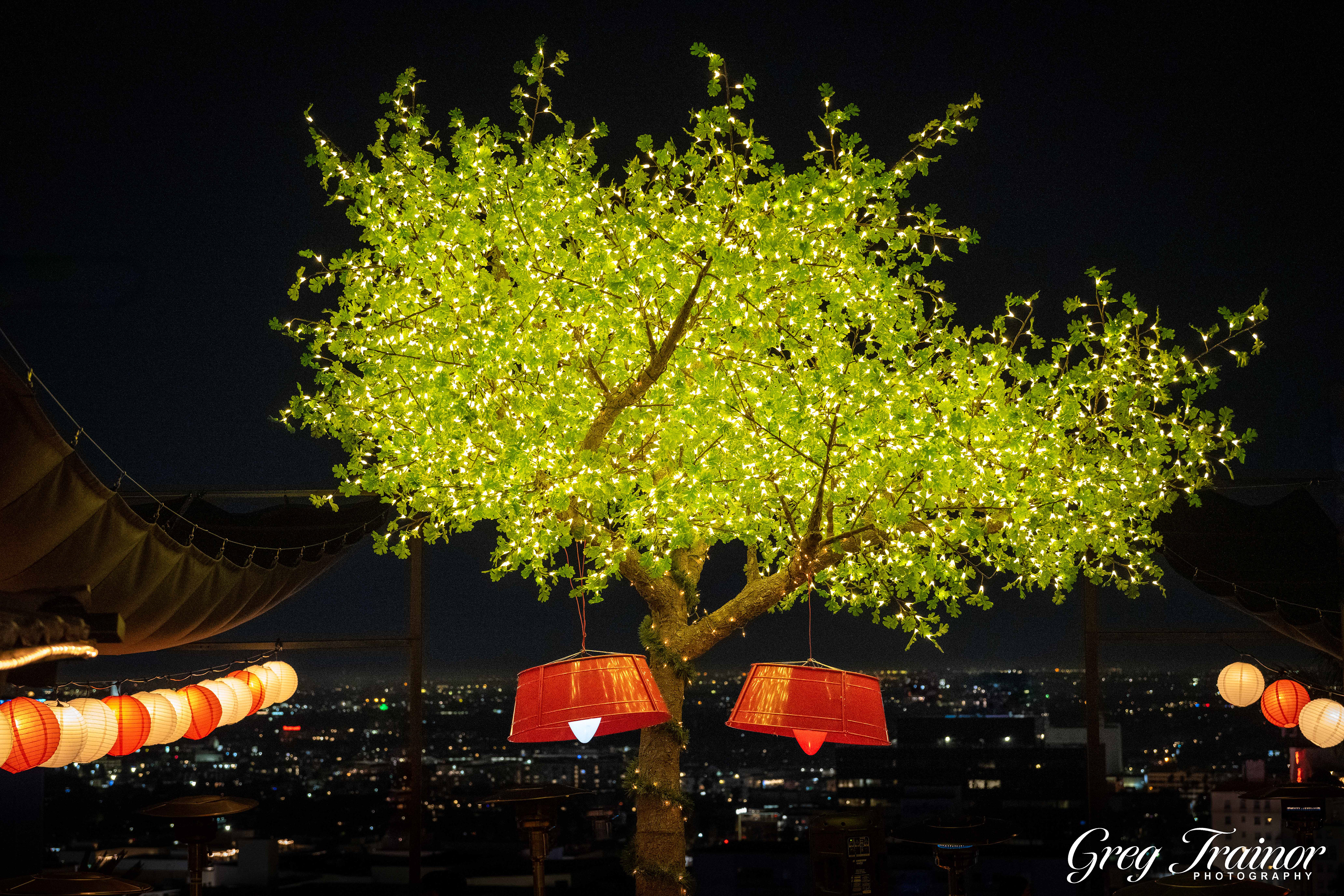 Tree of Light