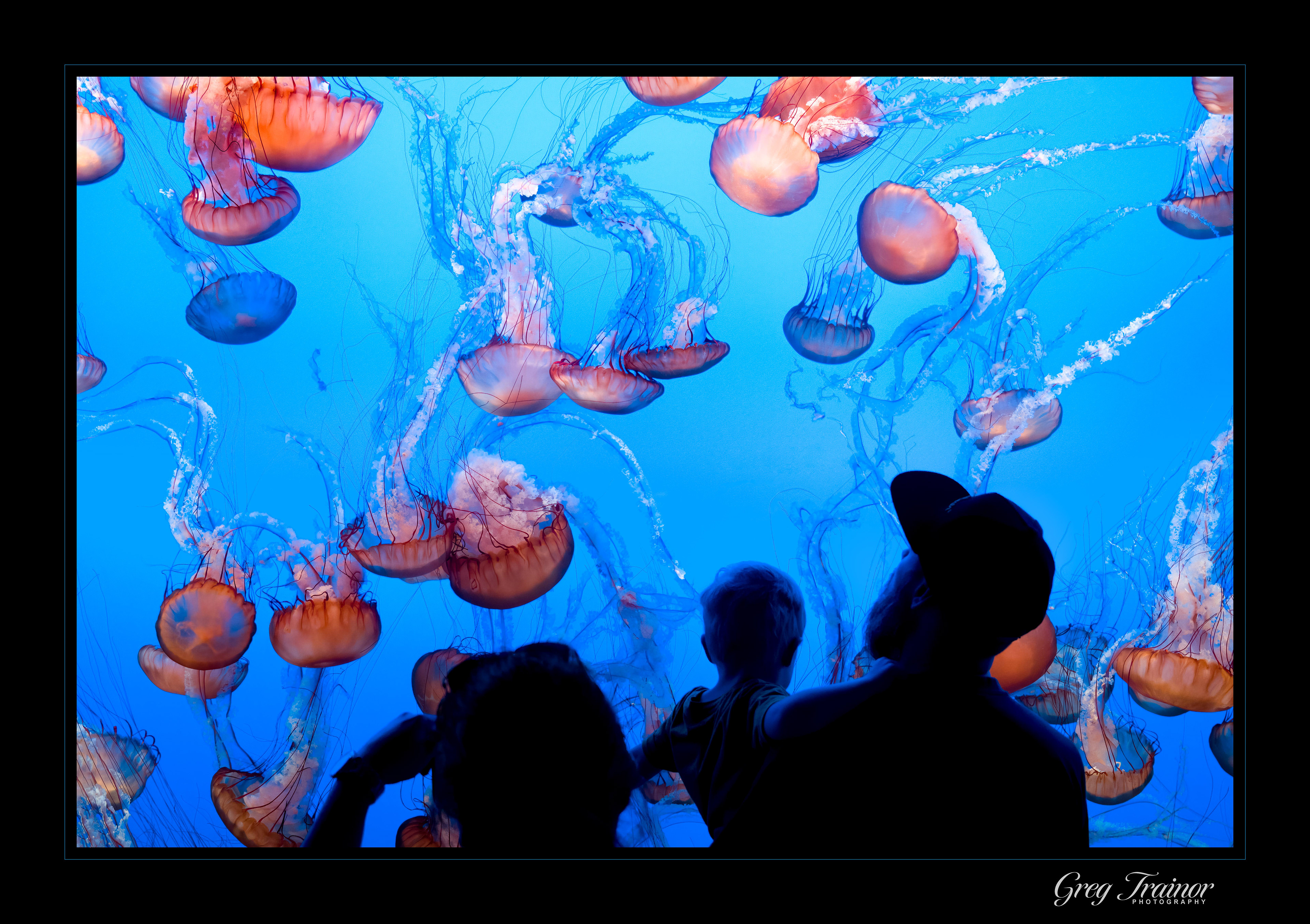 Alien Encounter