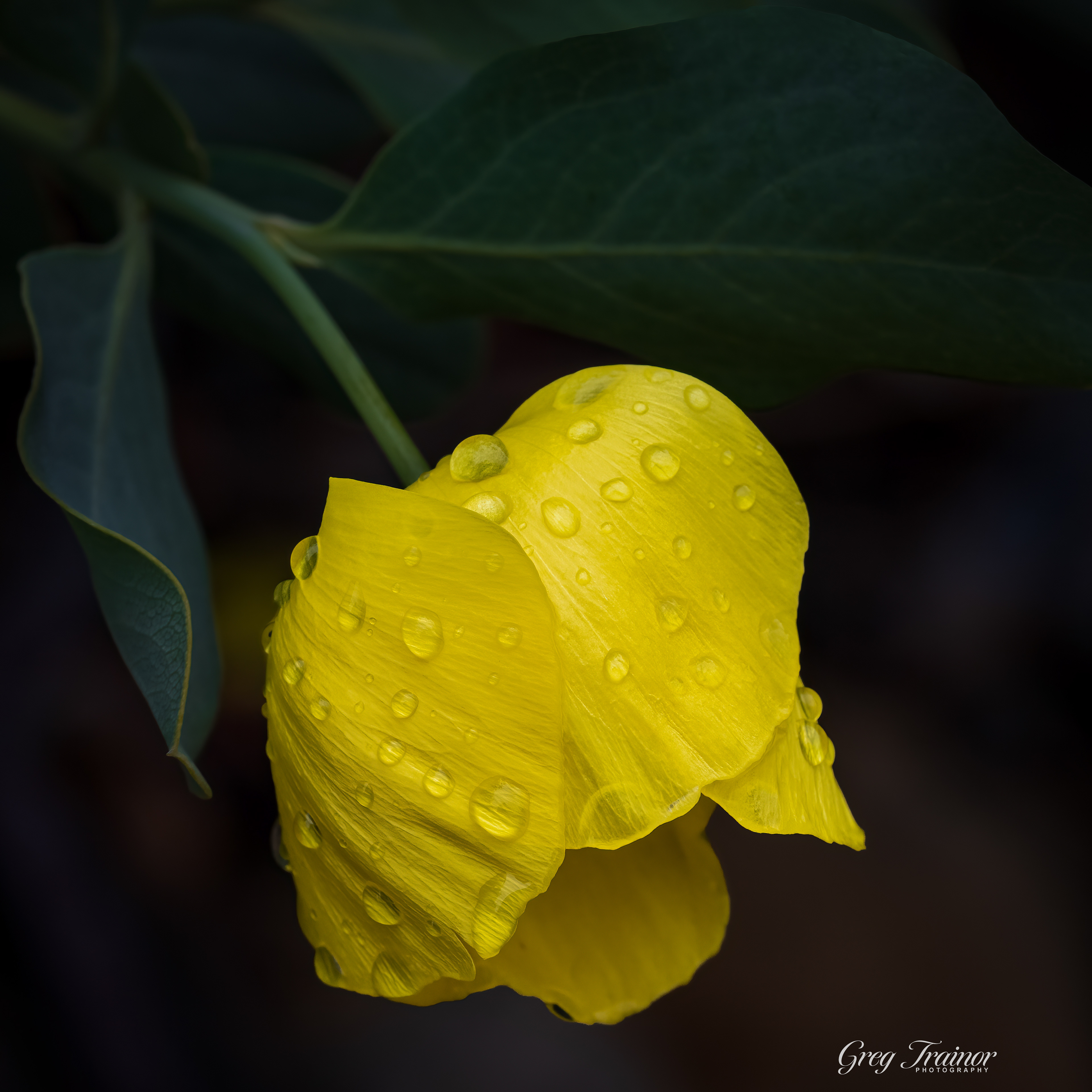 Fire and Rain