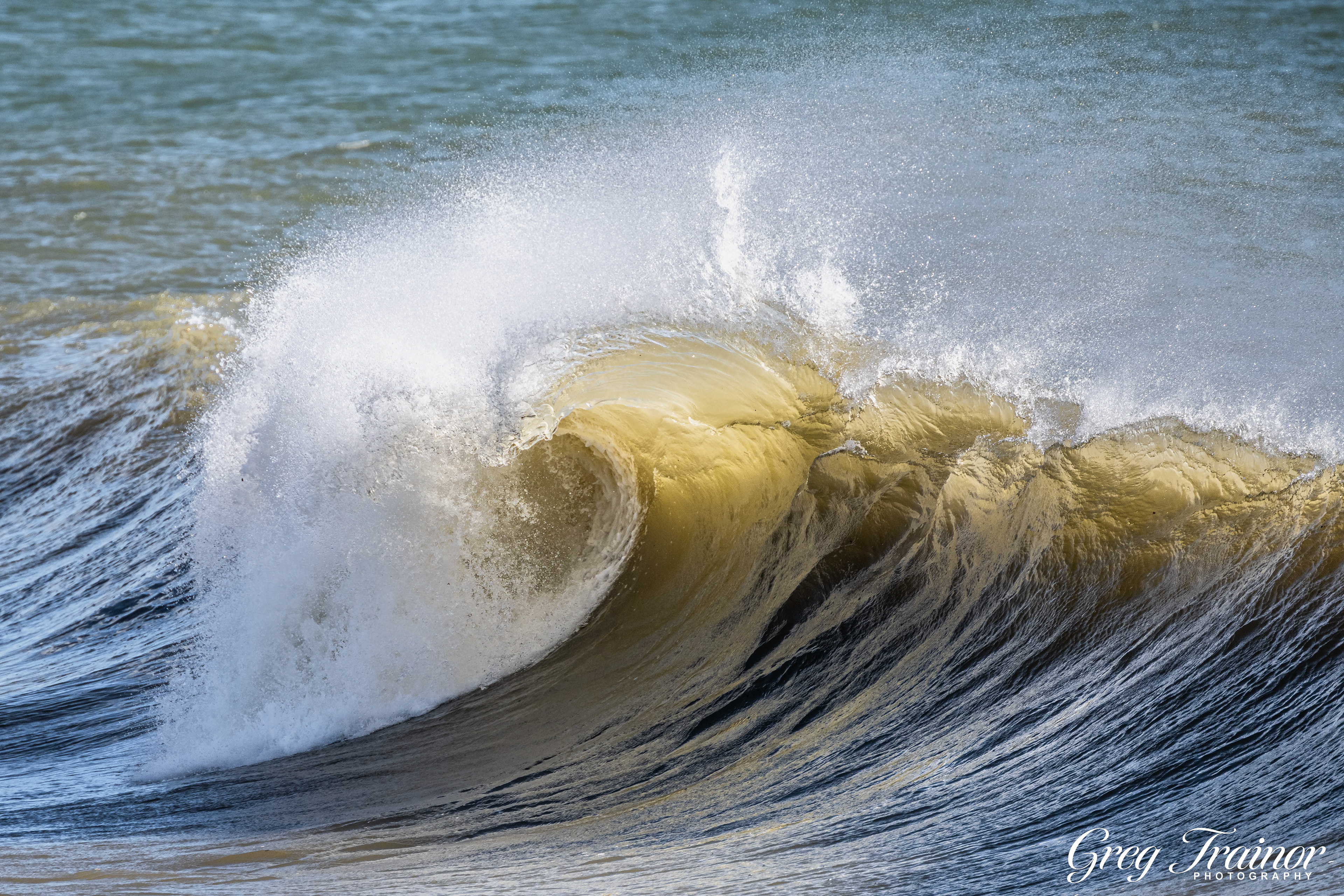 Surf's Up