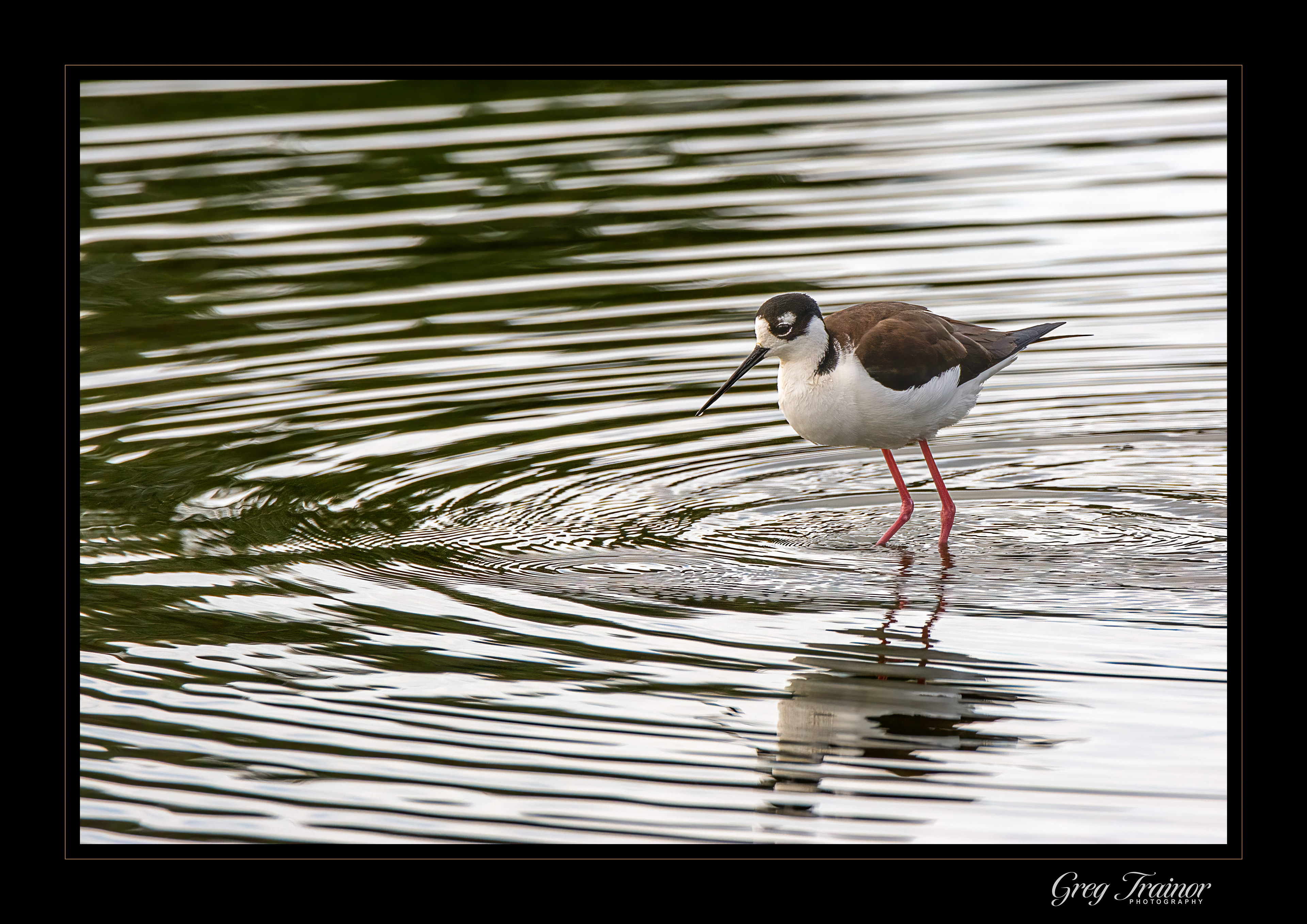 Ripples