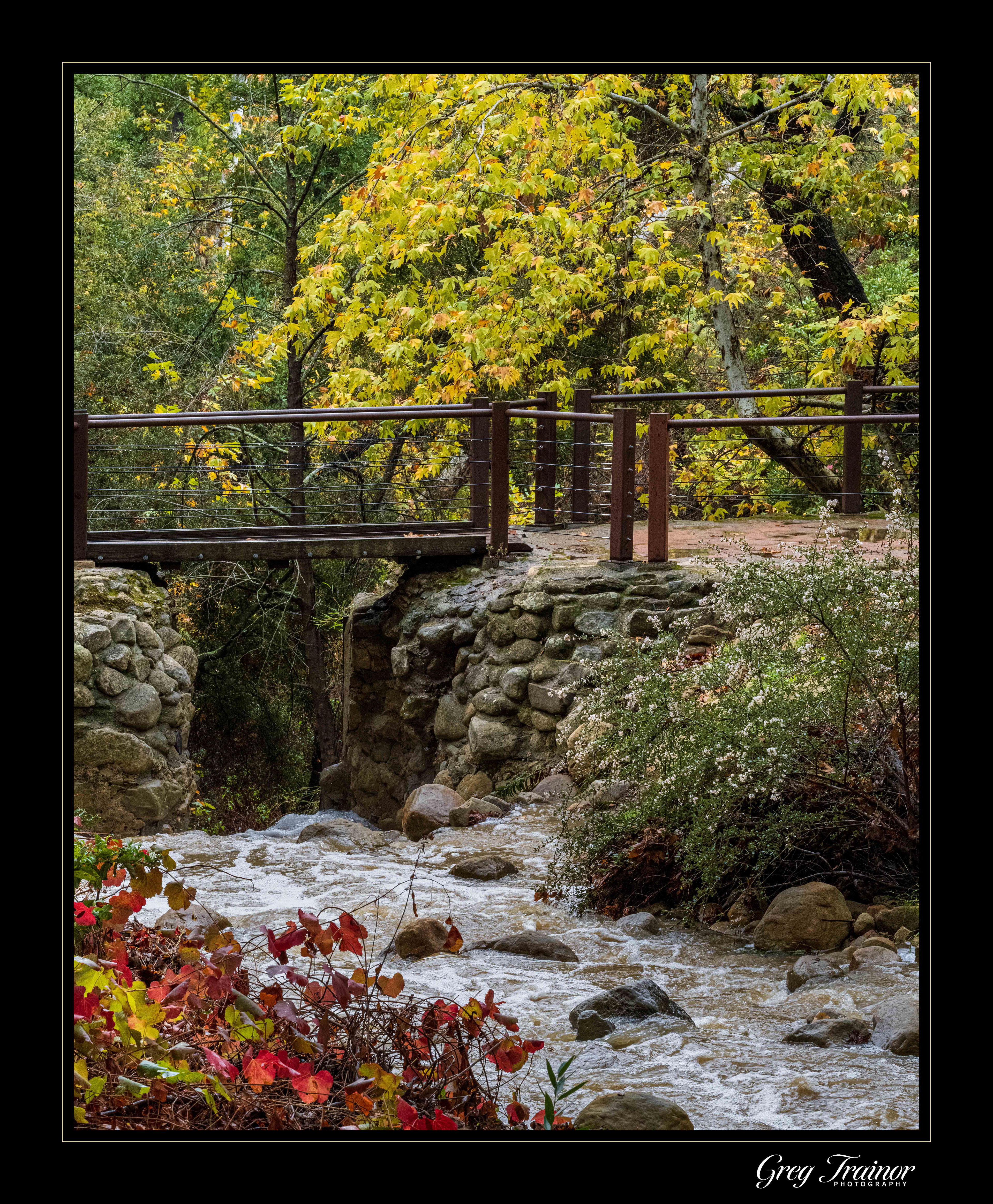 Mission Creek Flowing
