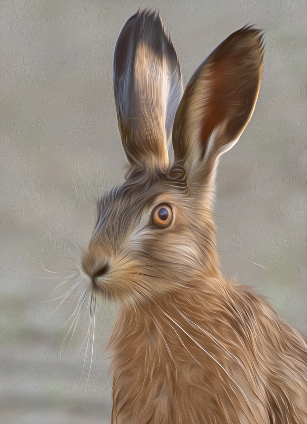 Big ears