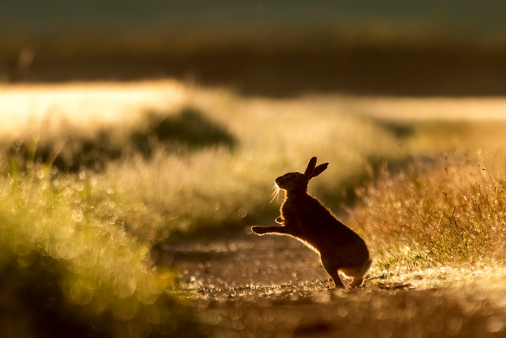 Greeting the sun