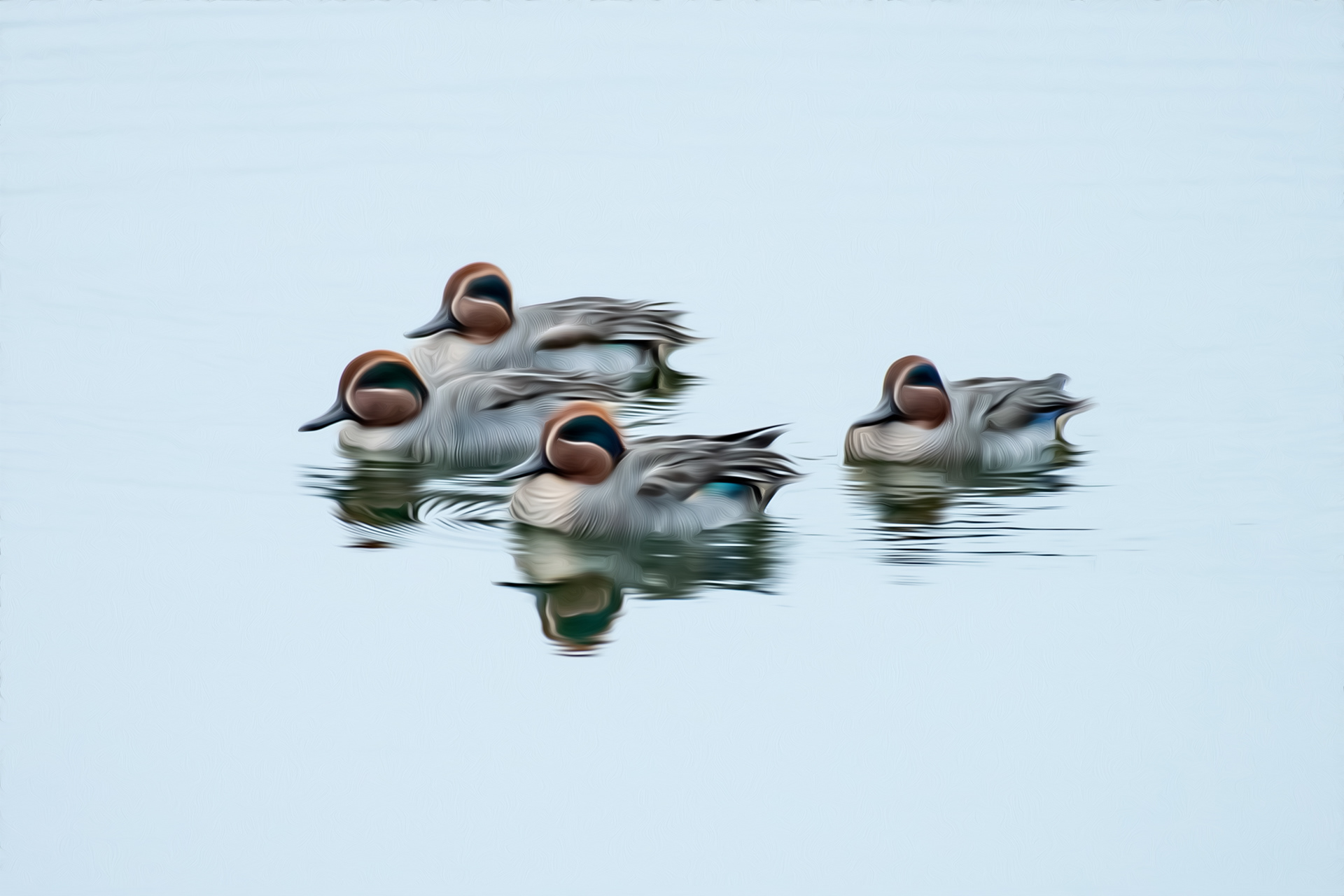 Teal group