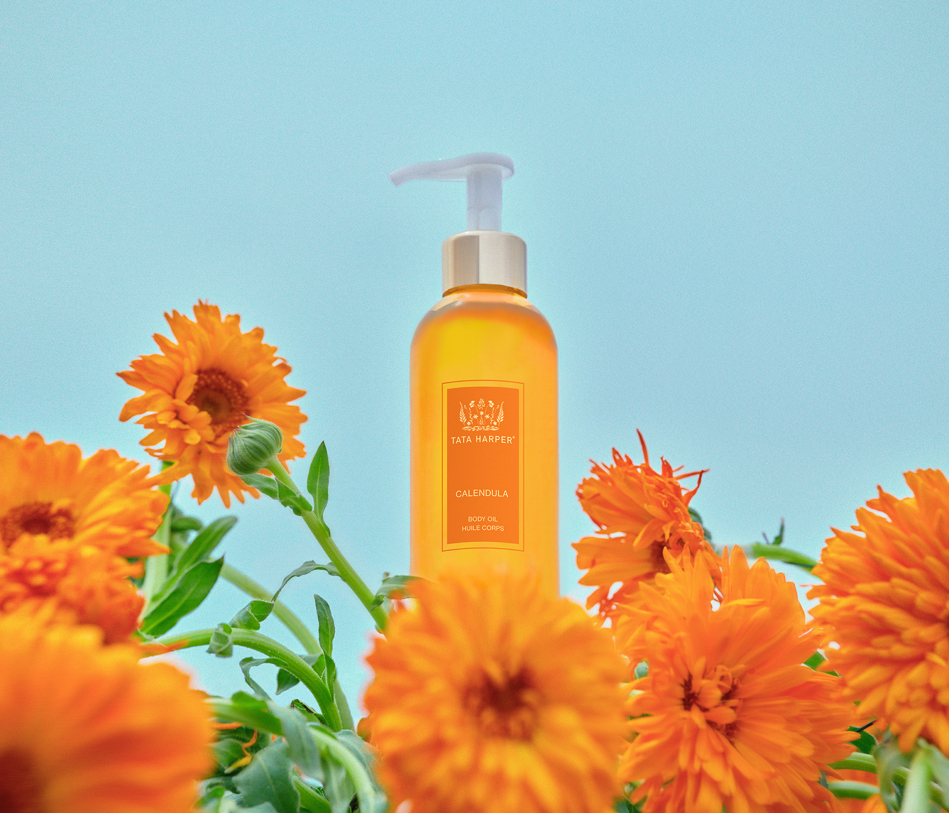 Calendula Body Oil, 2022