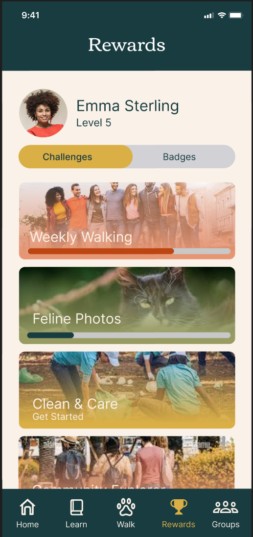 High-Fidelity Challenges