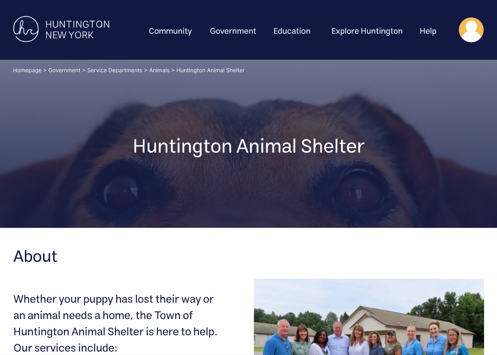 High-Fidelity Shelter Page