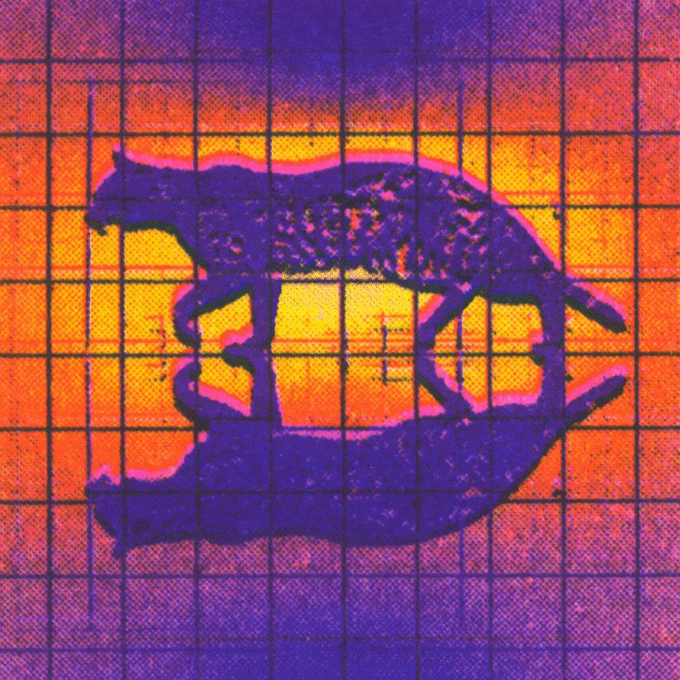 Fig. 10 Existence