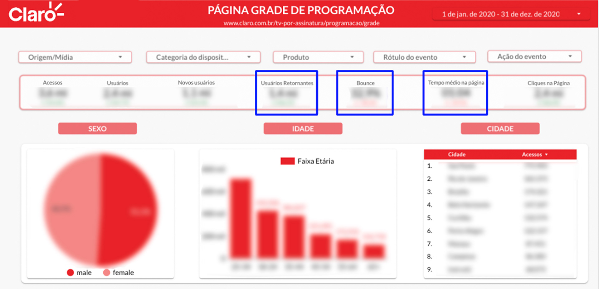 Claro Telecom personalized Google Analytics page