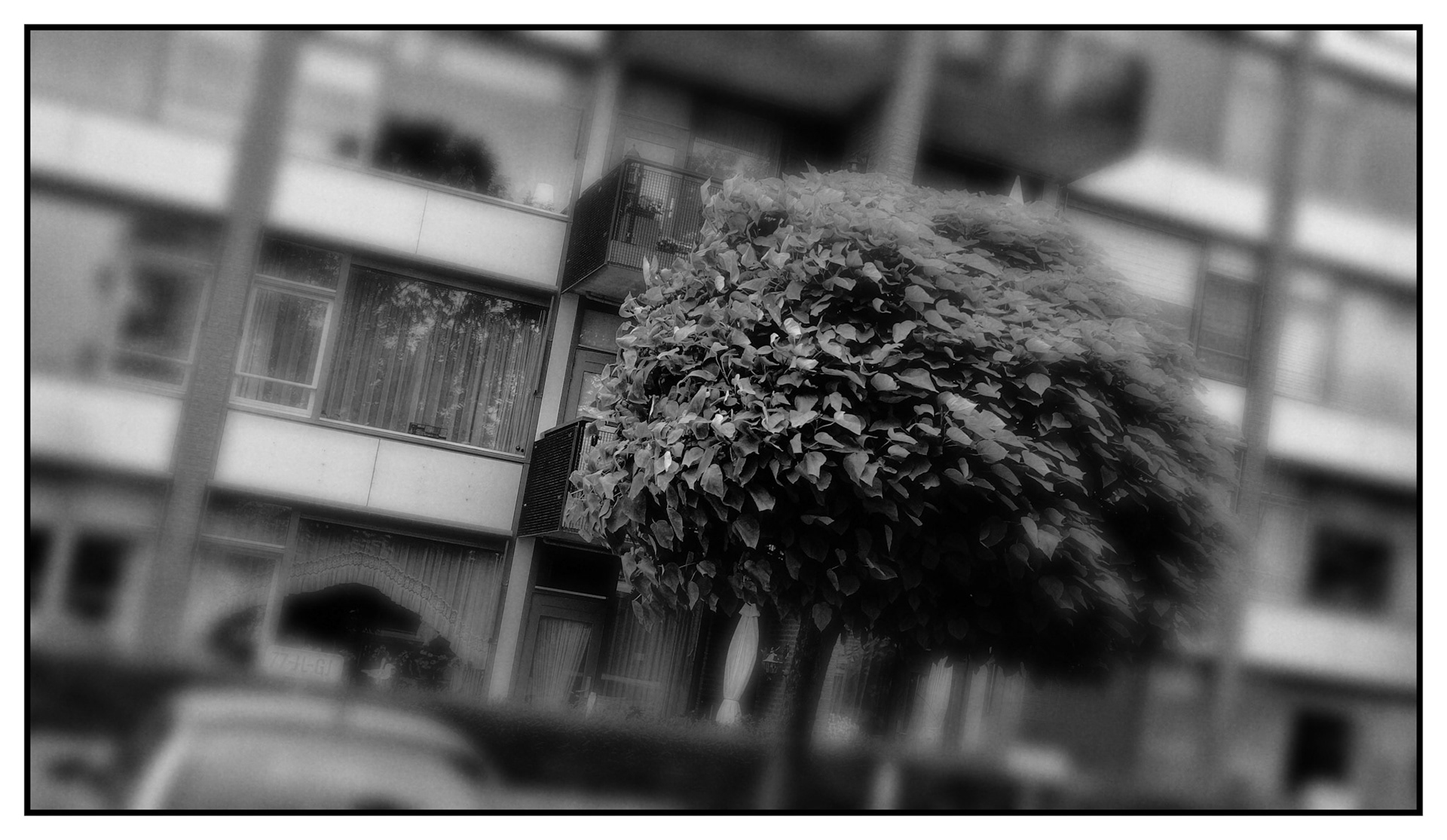 Shot with DXO ONE Camera