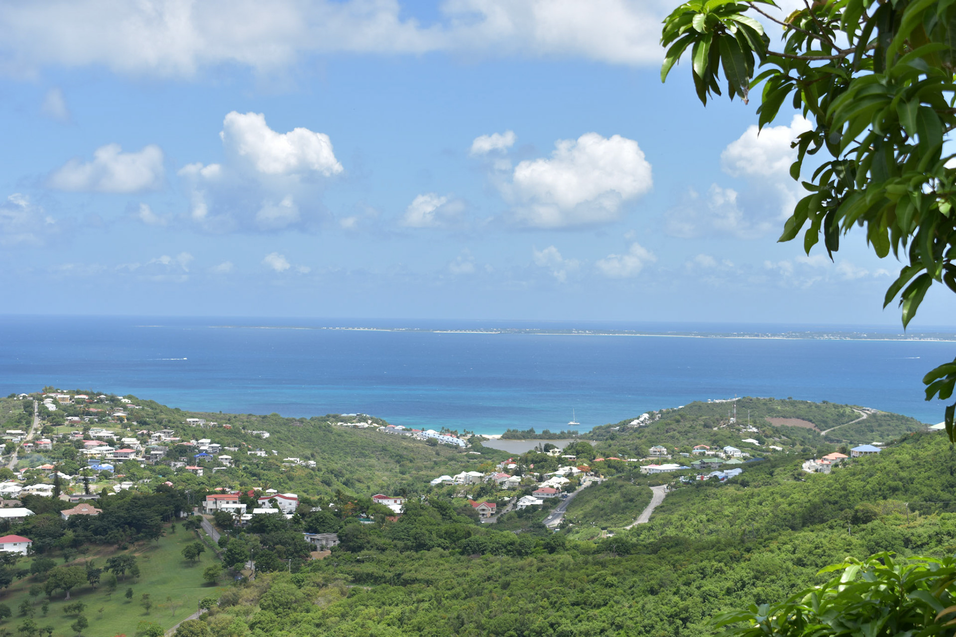 Overlooking Ocean