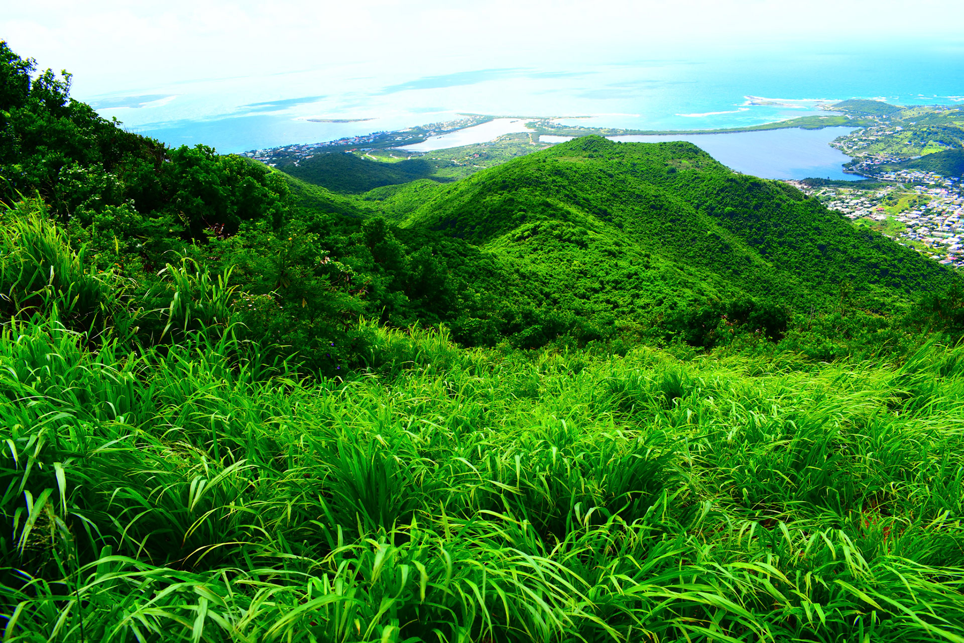 Rolling Green Hills