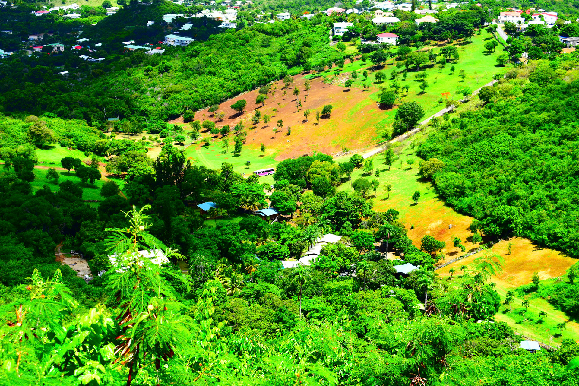 Farms on Mountain