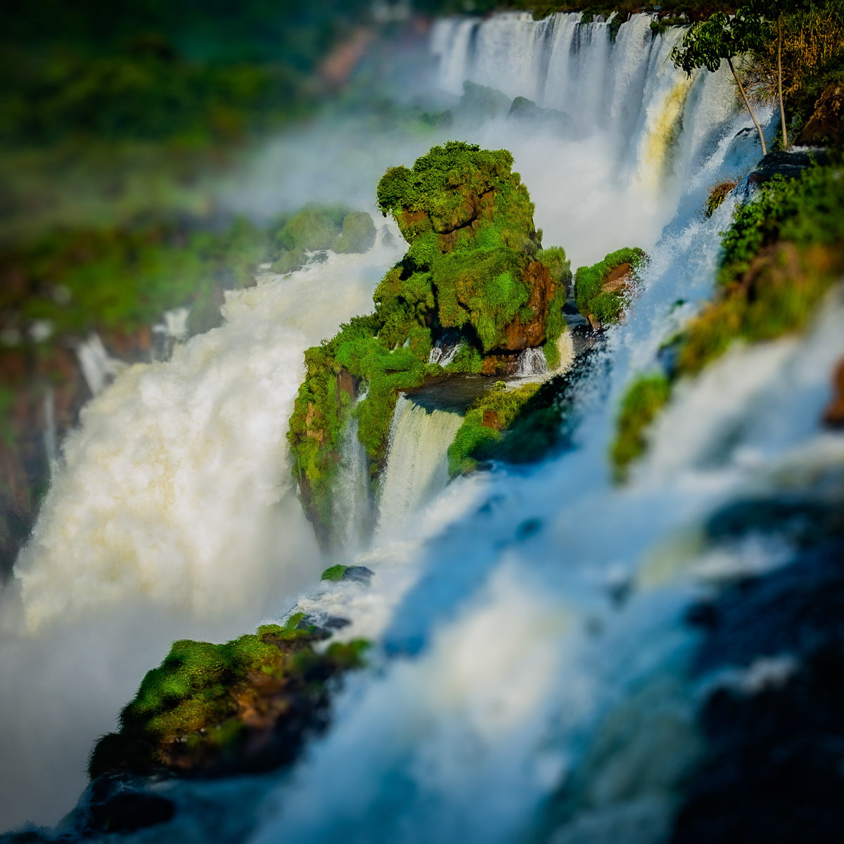 Bico do Papagaio (Parque Nacional Iguazu - Argentina)