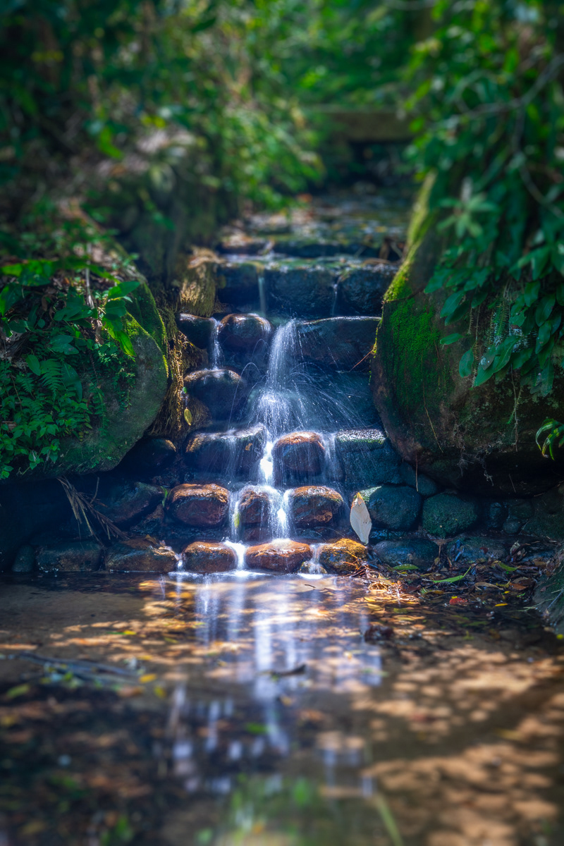 Stone Steps - versão autoral (Teresópolis - RJ)
