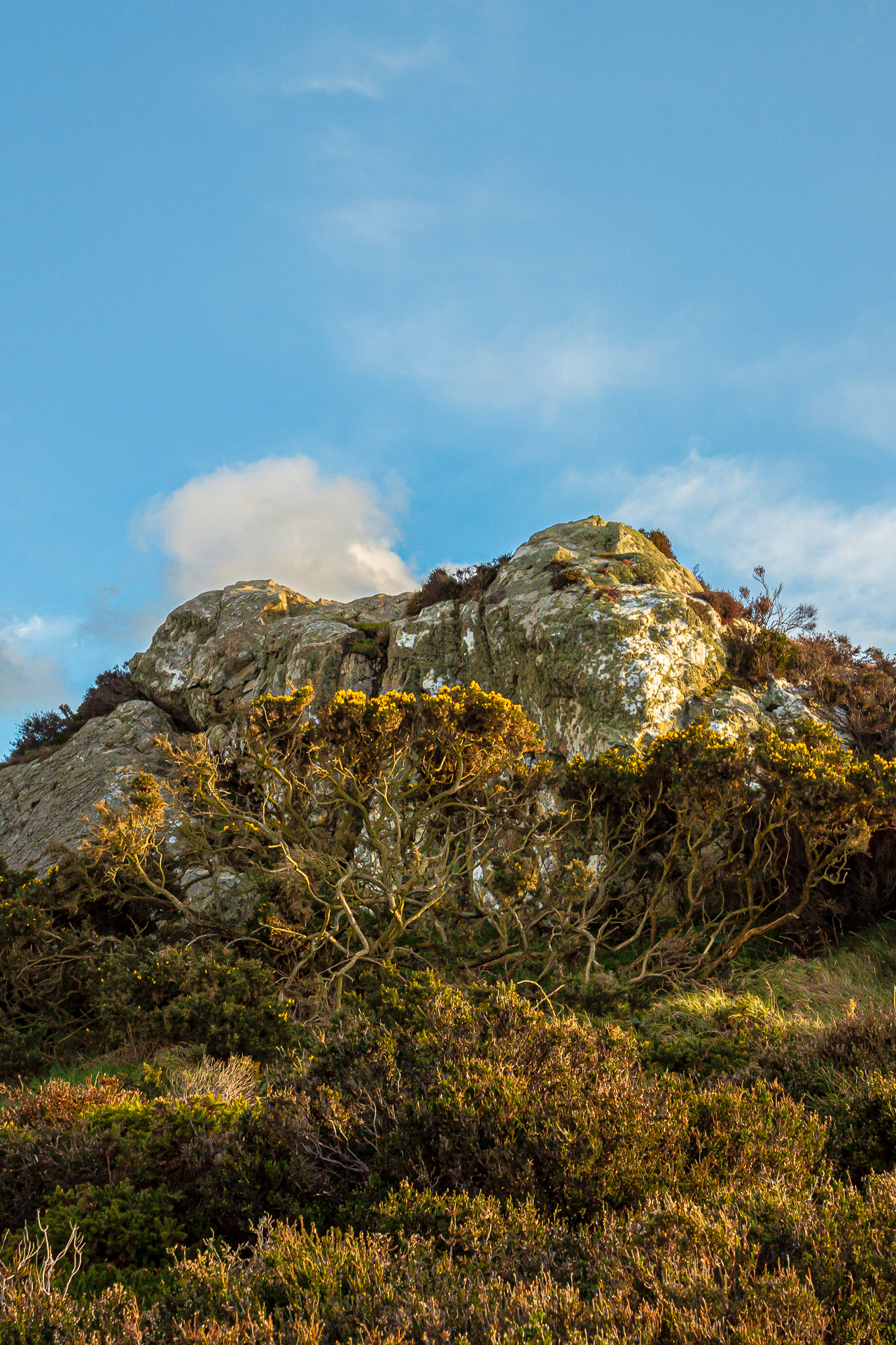 Howth. Dublin | Ireland.