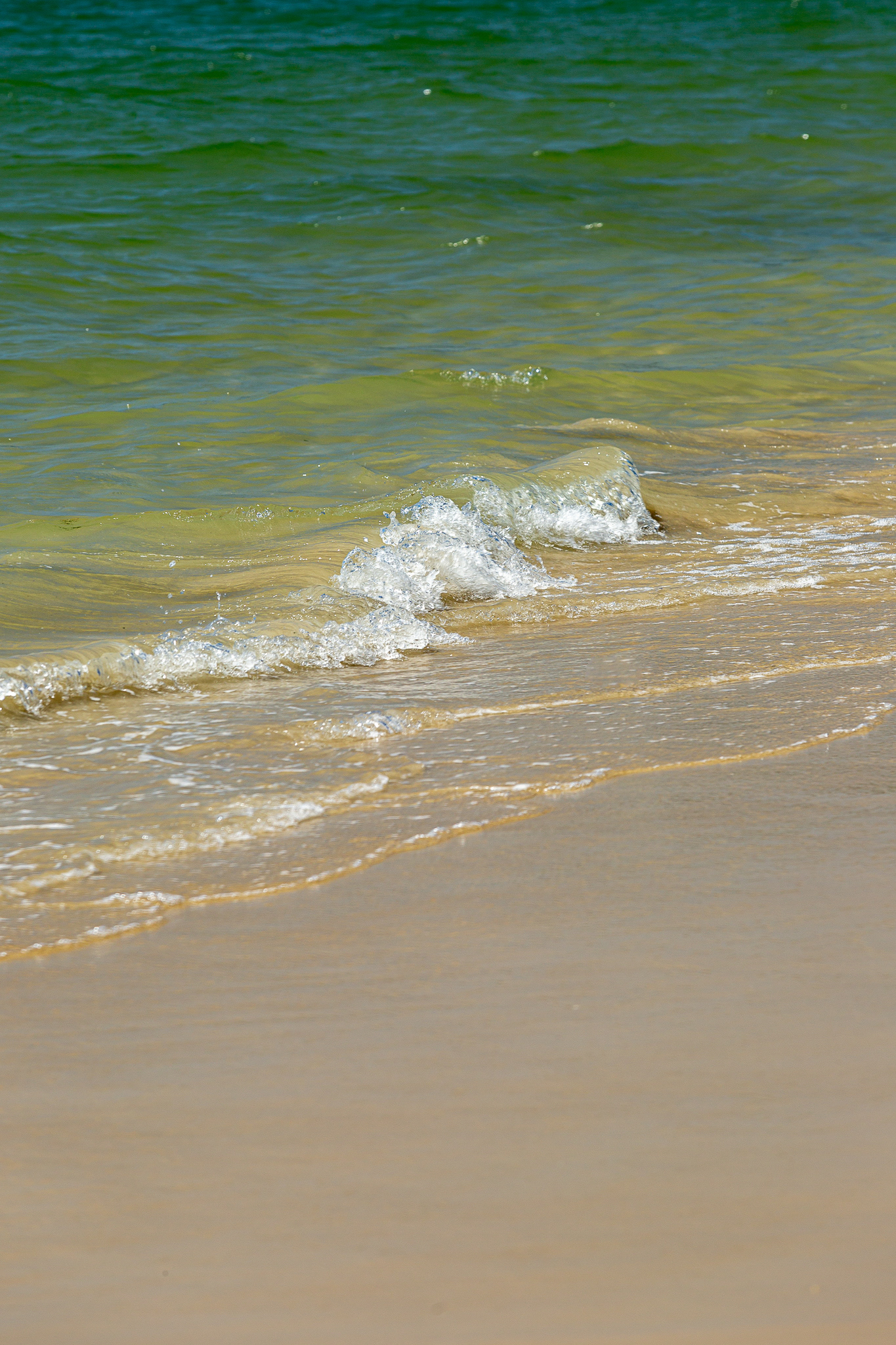 Florianópolis/SC | Brasil