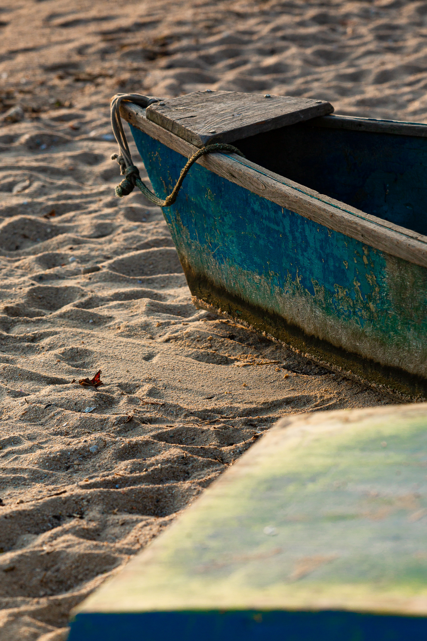 Florianópolis/SC | Brasil