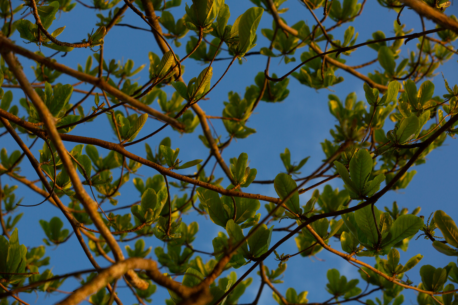 Florianópolis/SC | Brasil