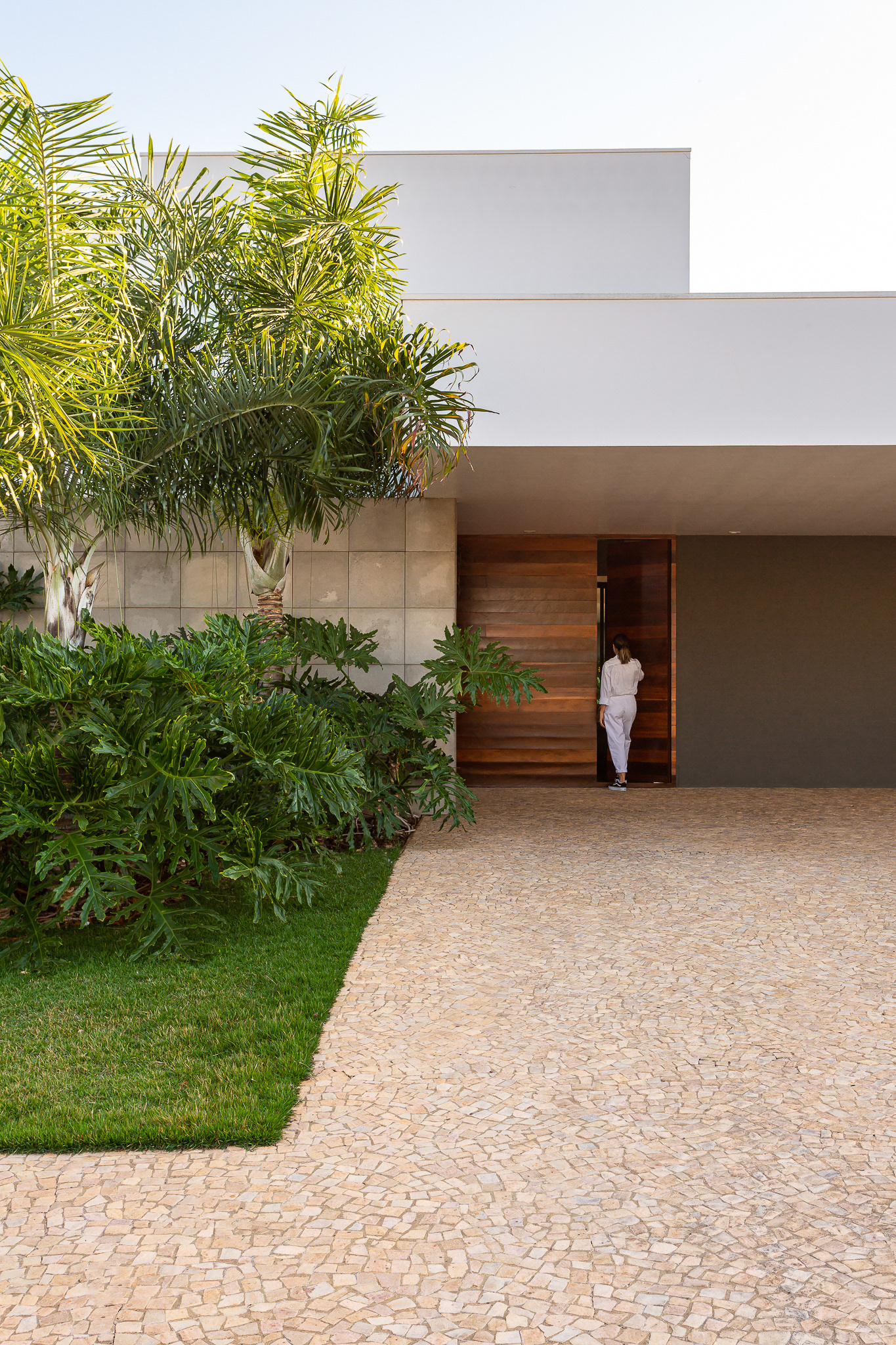 Studio A+P | Brasil
