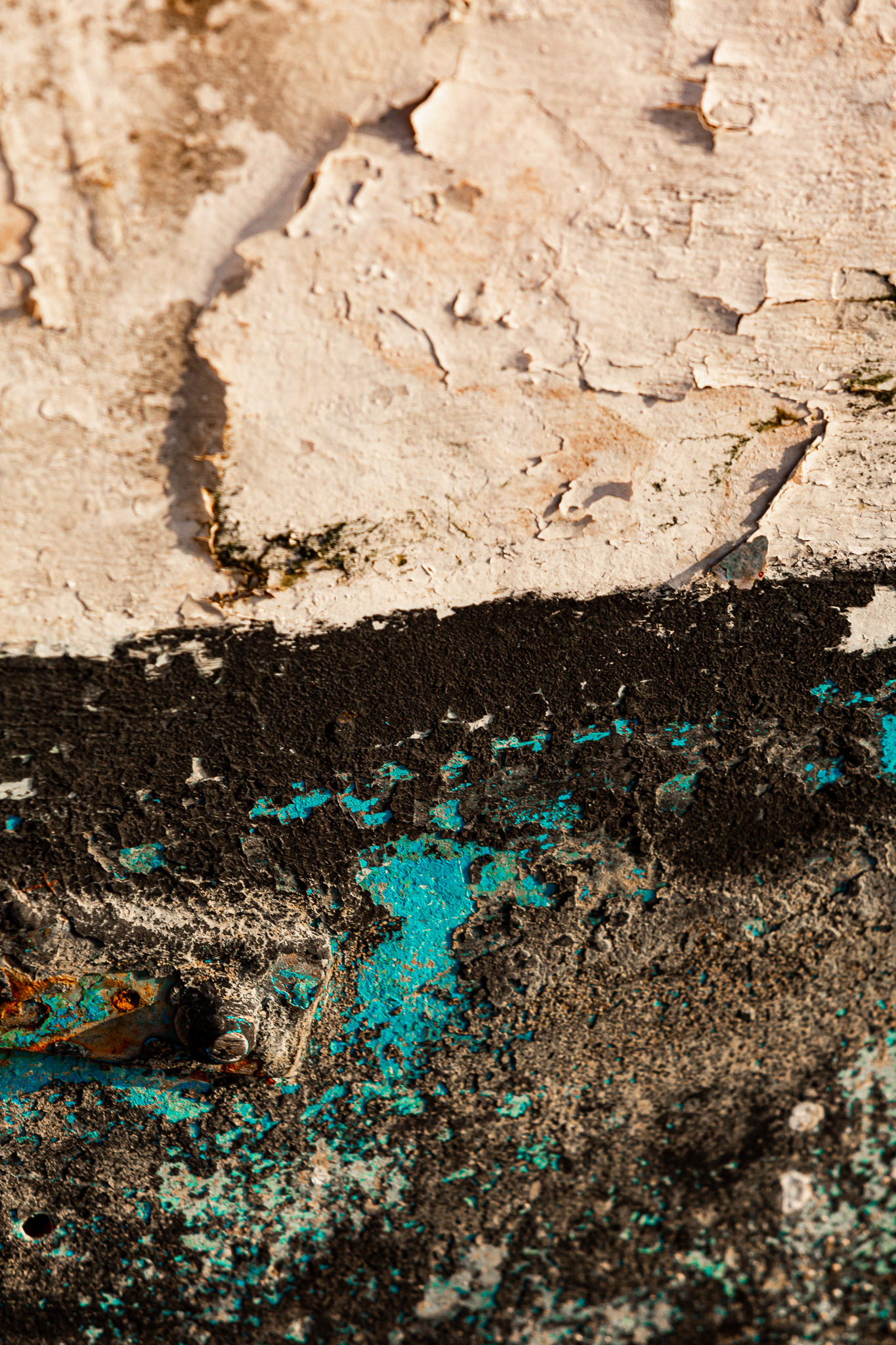 Florianópolis/SC | Brasil