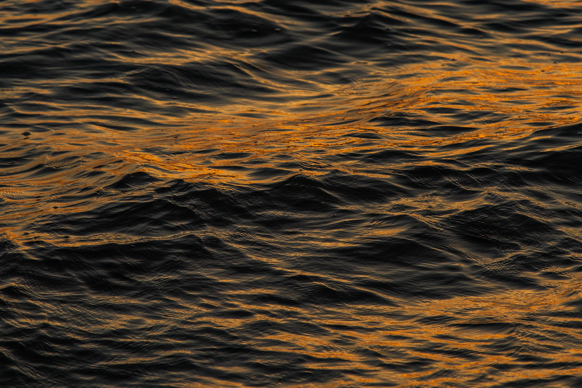 Florianópolis/SC | Brasil