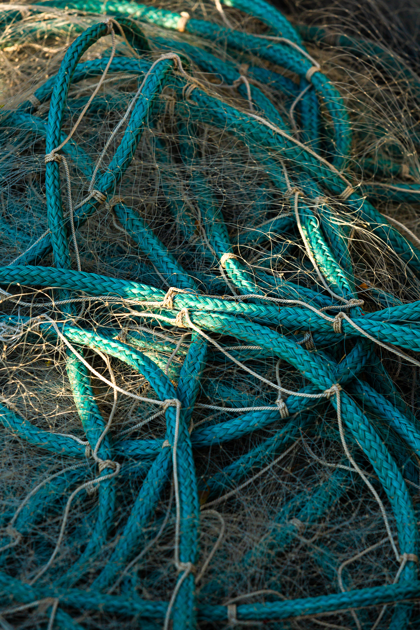 Florianópolis/SC | Brasil