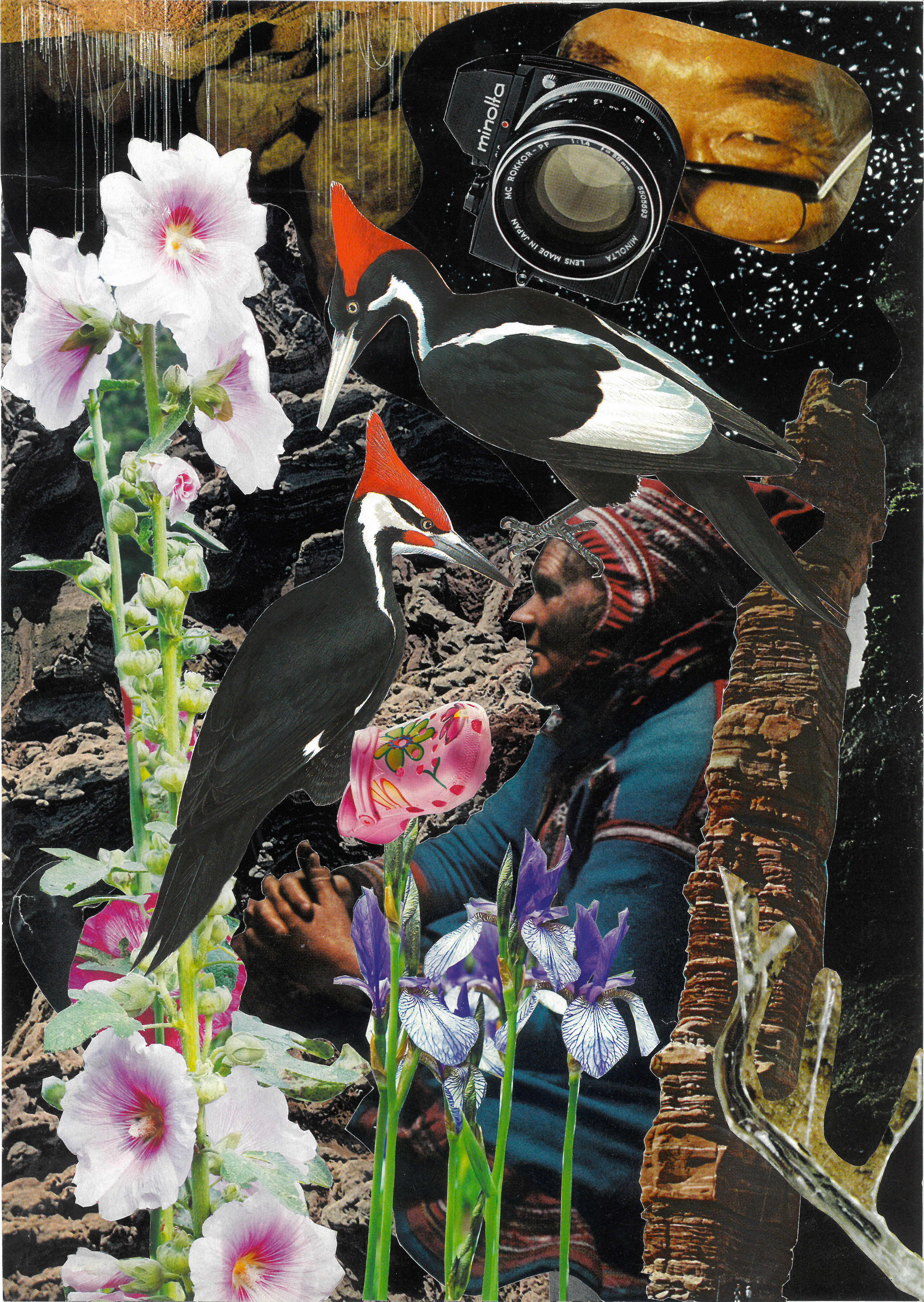 What’s on a shaman’s mind / 2023 / collage