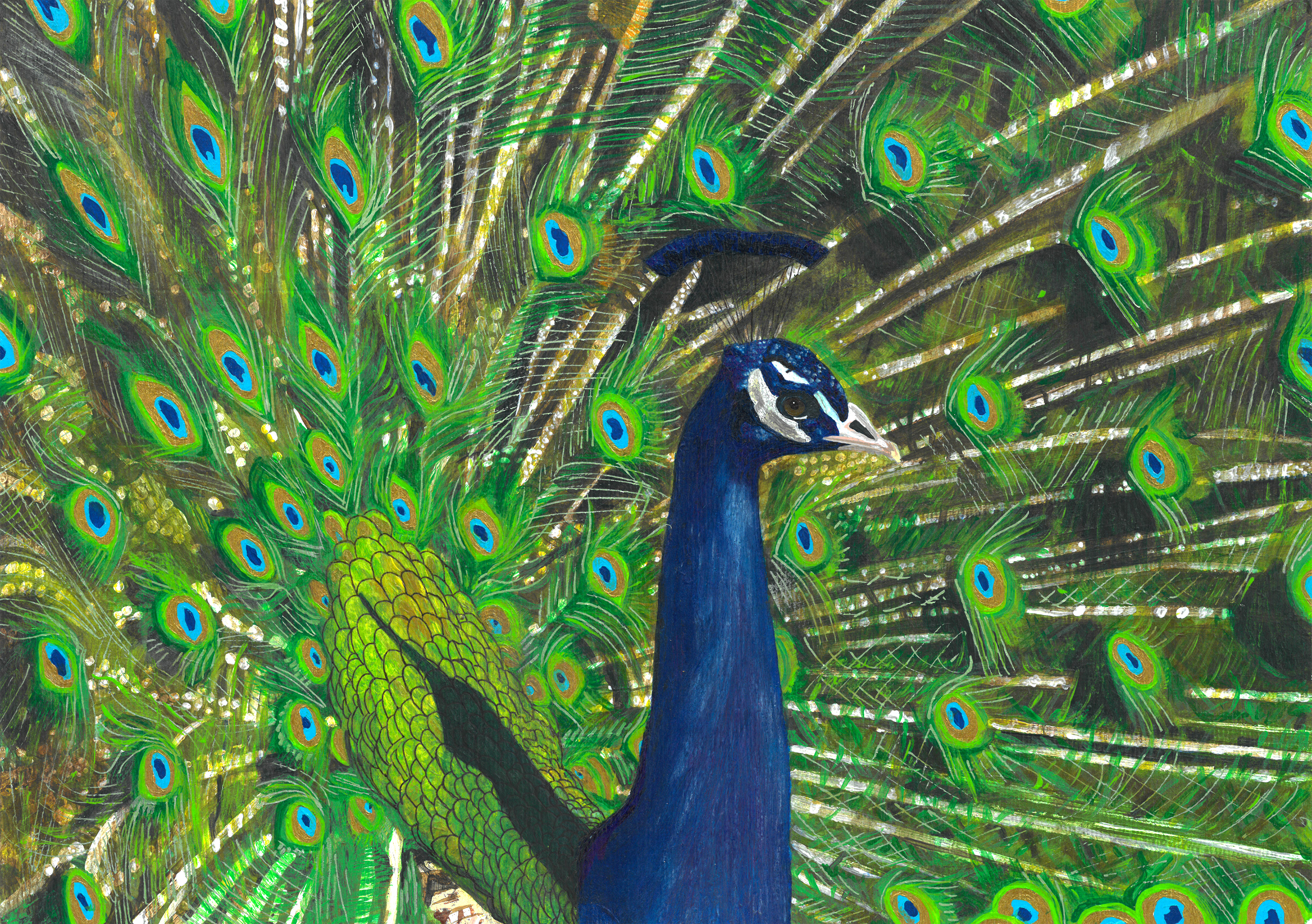Peacock / 2023 / mixed media art on paper