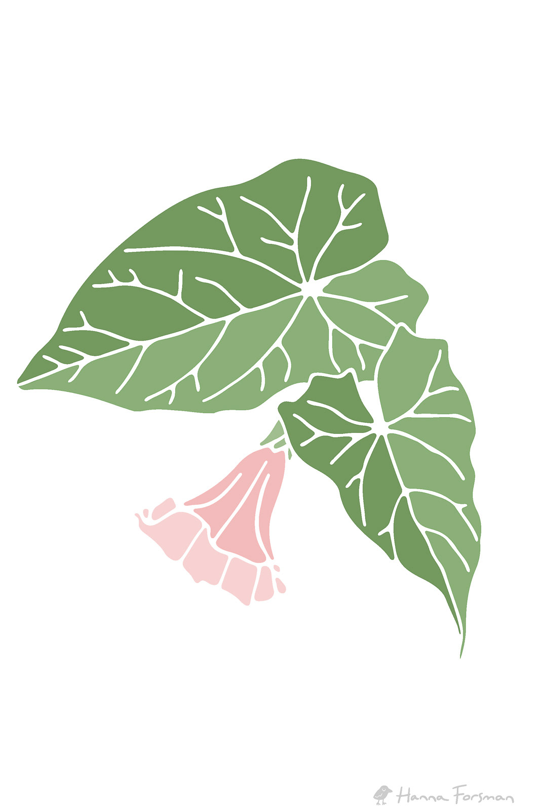 Close-up detail of seamless nature-inspired pattern with morning glory.