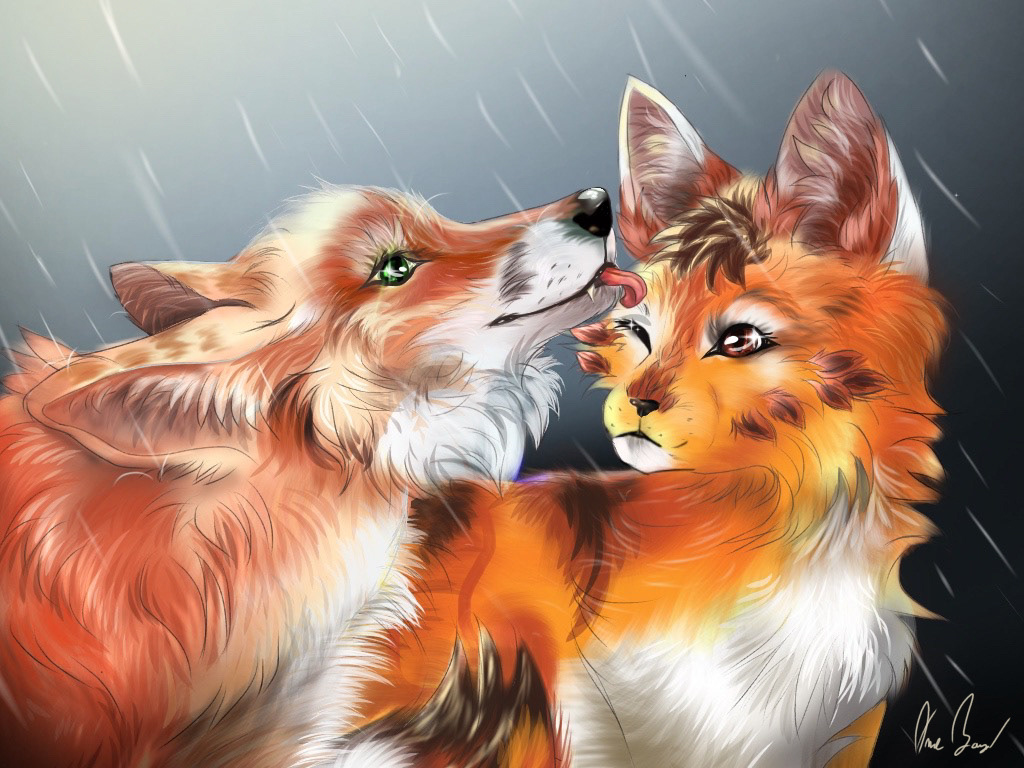 Fox and Cat in the Rain