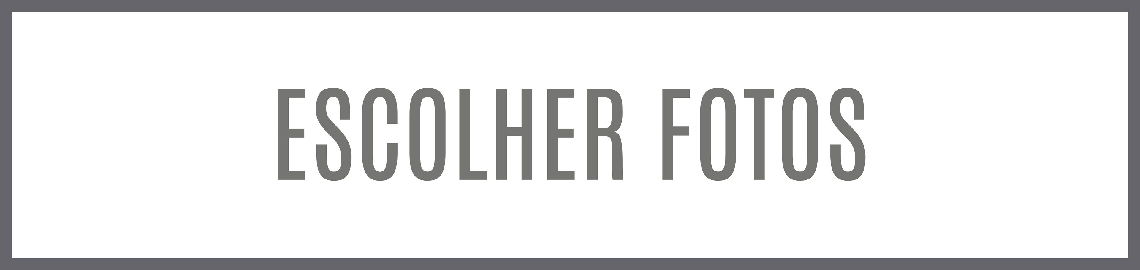 ensaio fotografico caes