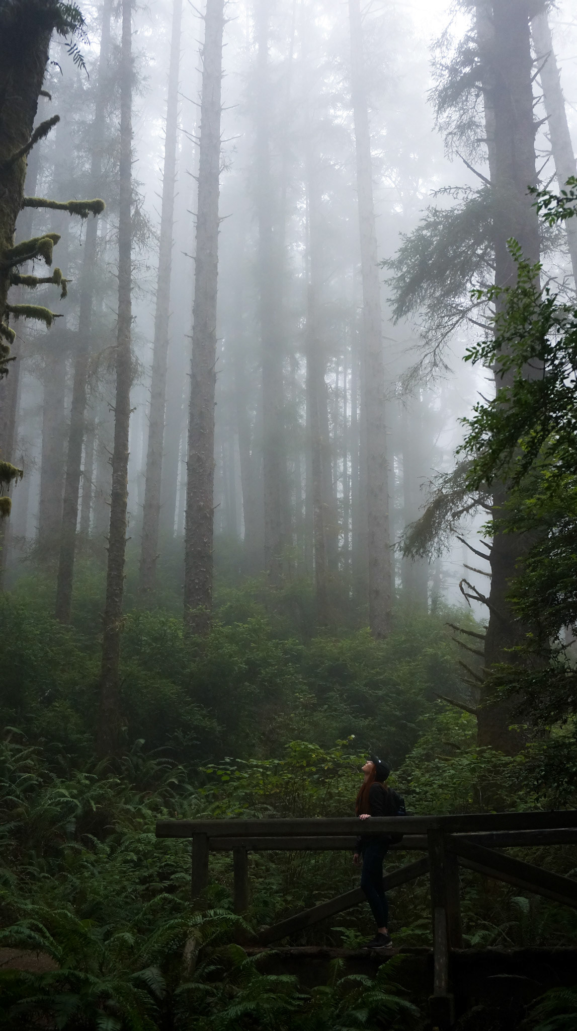 shot by Sean, edits by me