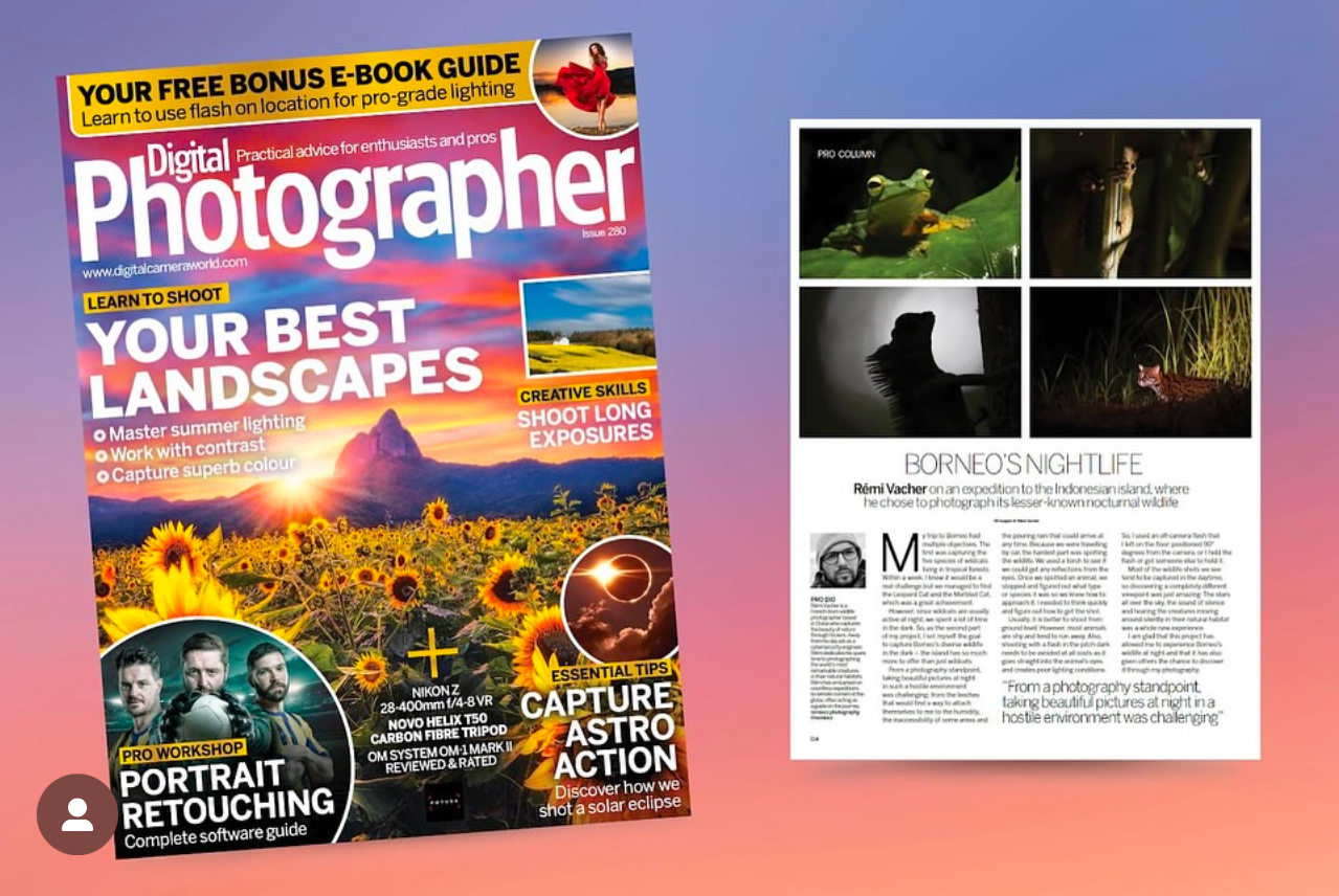 Borneo nocturnal wildlife photography feature by Rémi Vacher, published in Digital Photographer magazine, Issue 263 (July 2024).
