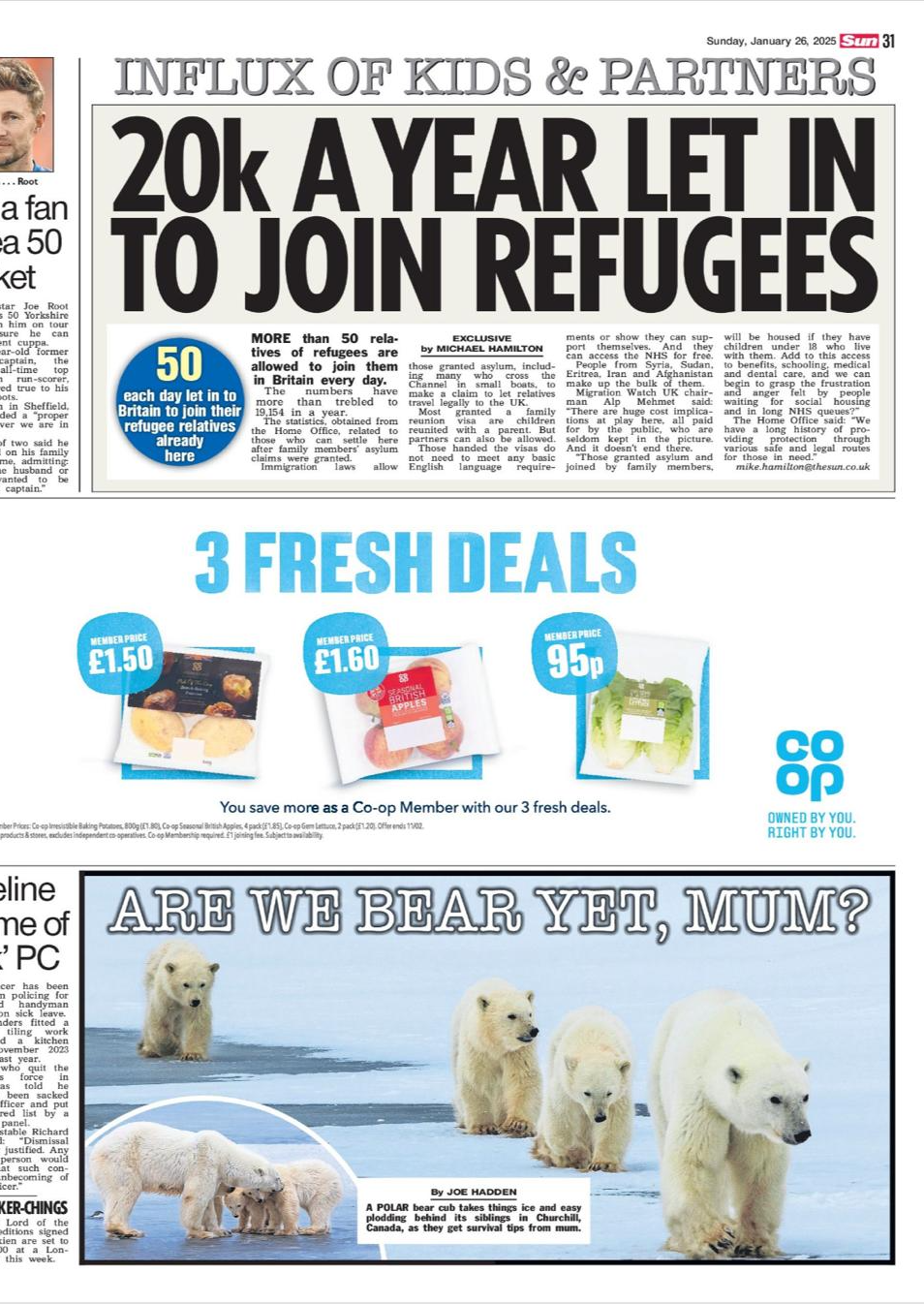 Polar bear photo captured by Rémi Vacher, featured in The Sun newspaper, published on January 26, 2025.