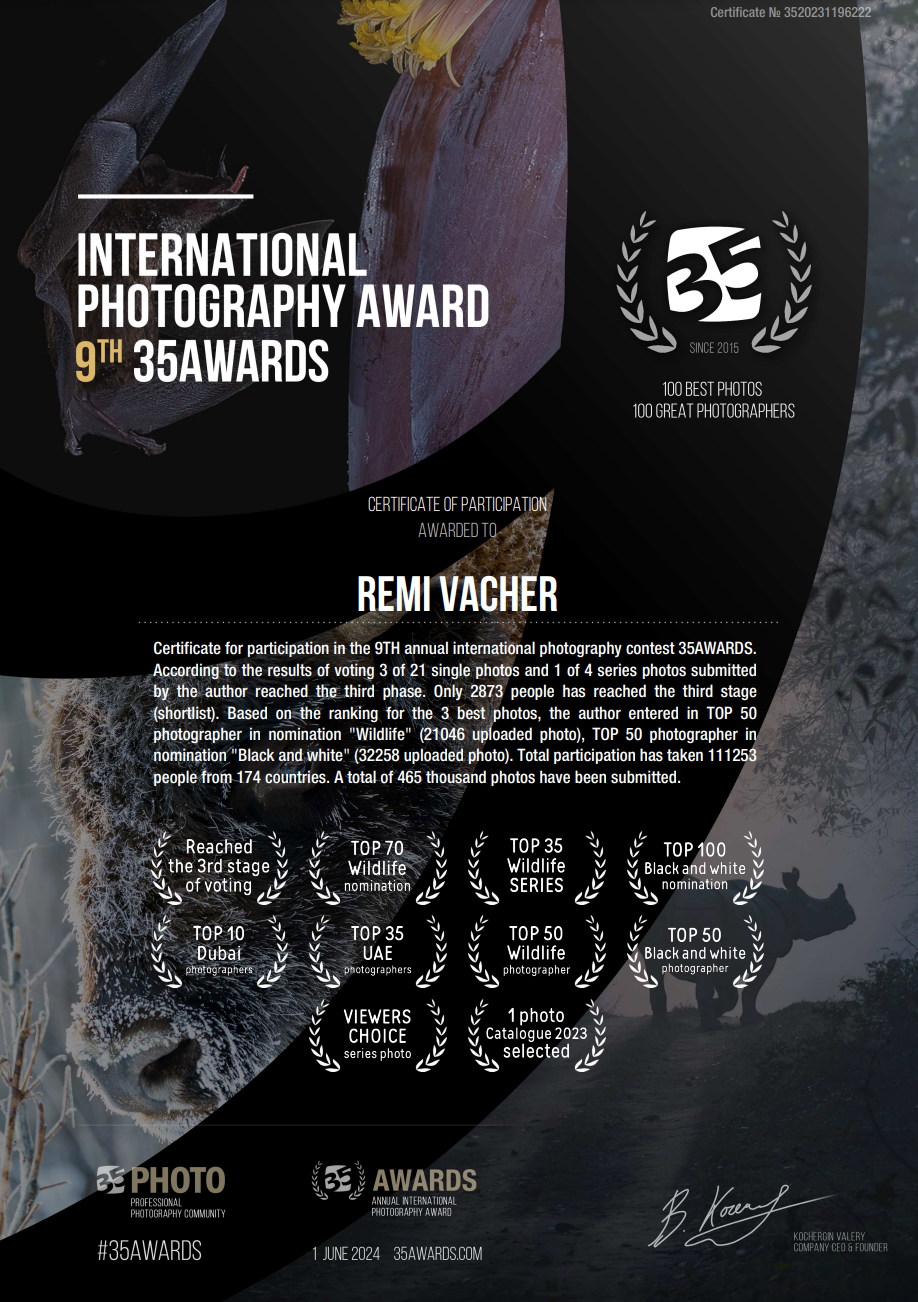 Certificate awarded to Rémi Vacher at the 9th 35AWARDS International Photography Award 2024, recognizing his wildlife photography work selected among the top entries out of 465,000 submissions from 174 countries.