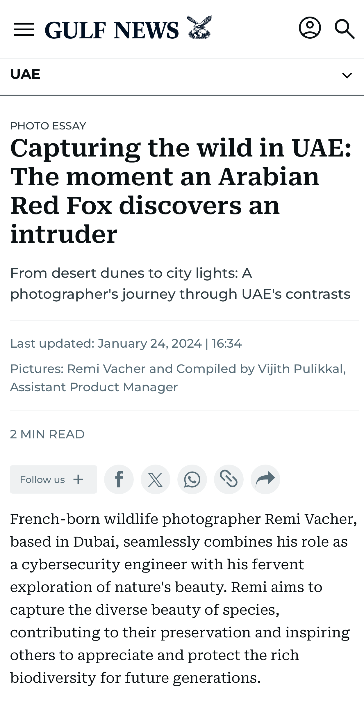 Photo essay on Arabian wildlife featuring an Arabian Red Fox, captured by Rémi Vacher, published in Gulf News on January 24, 2024.