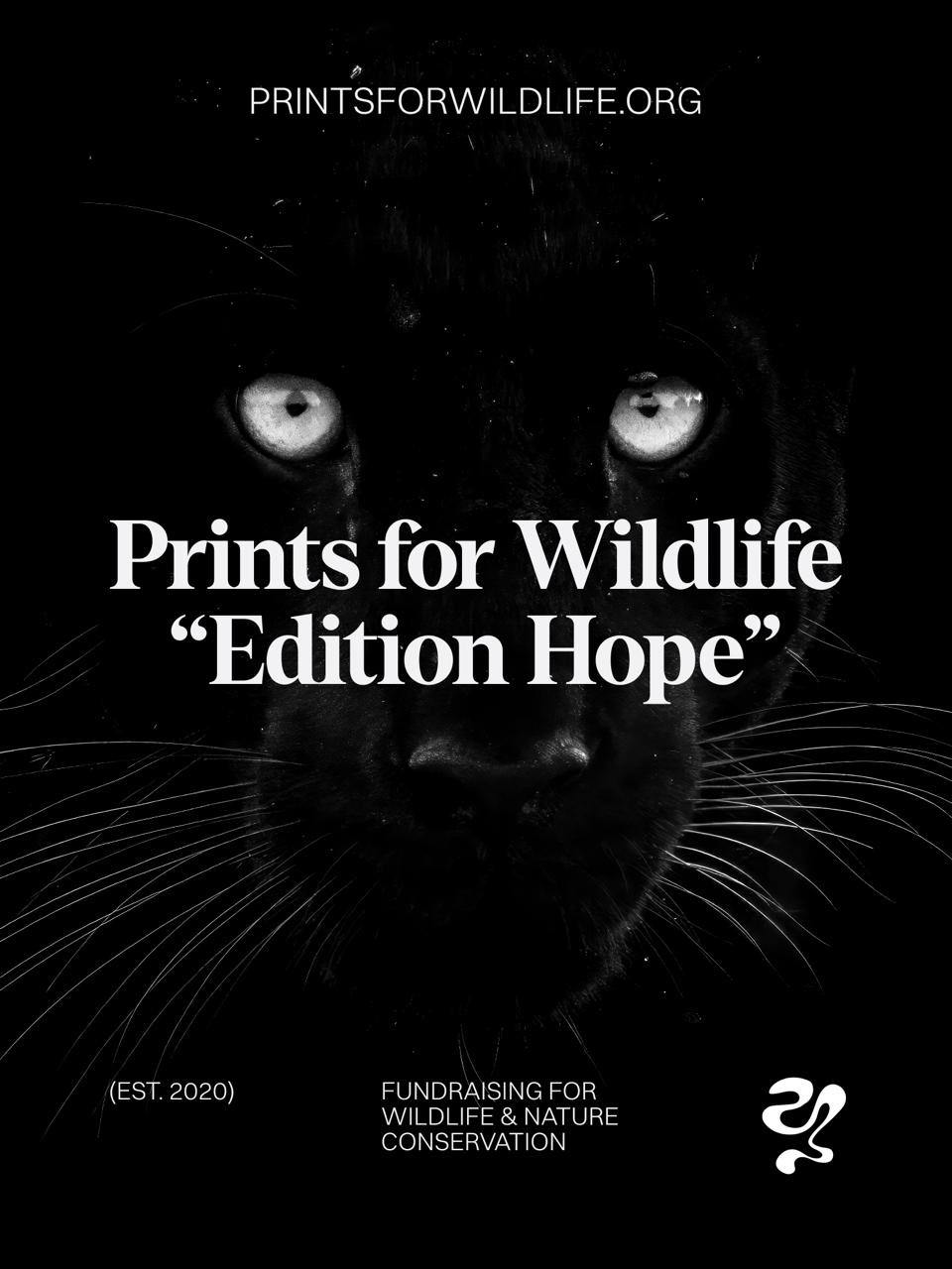 print ofr wildlife 2025