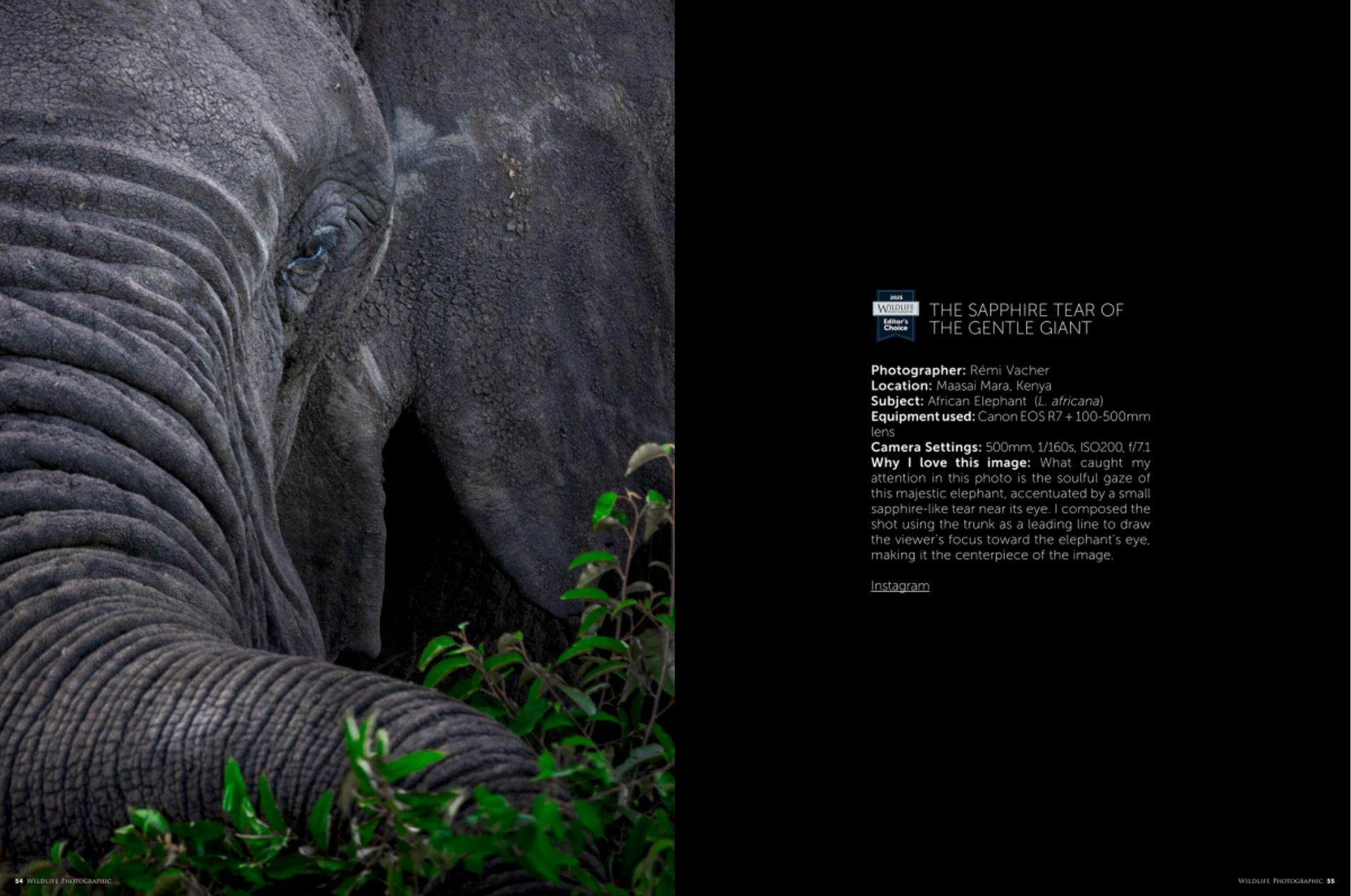 Award-winning wildlife photograph by Rémi Vacher showing an African elephant's soulful gaze with a sapphire-like tear, captured in Maasai Mara, Kenya — Editor’s Choice Wildlife Photographic.