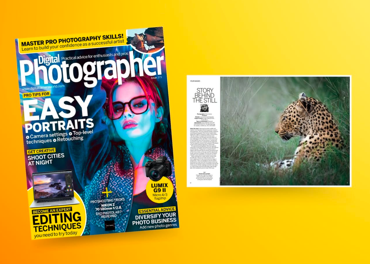 Leopard portrait photograph captured by Rémi Vacher, featured in Digital Photographer magazine, Issue 271 (November 2023).