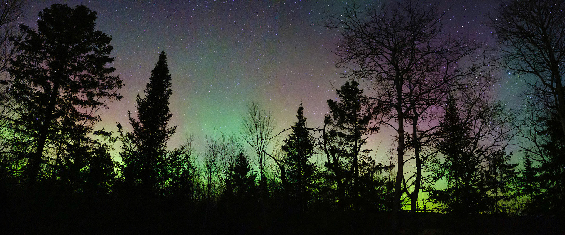 Pastel Lights in the Sky