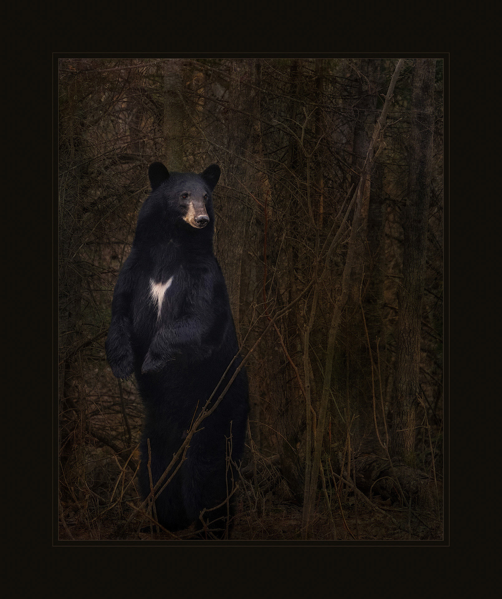 Are You Looking for Me?