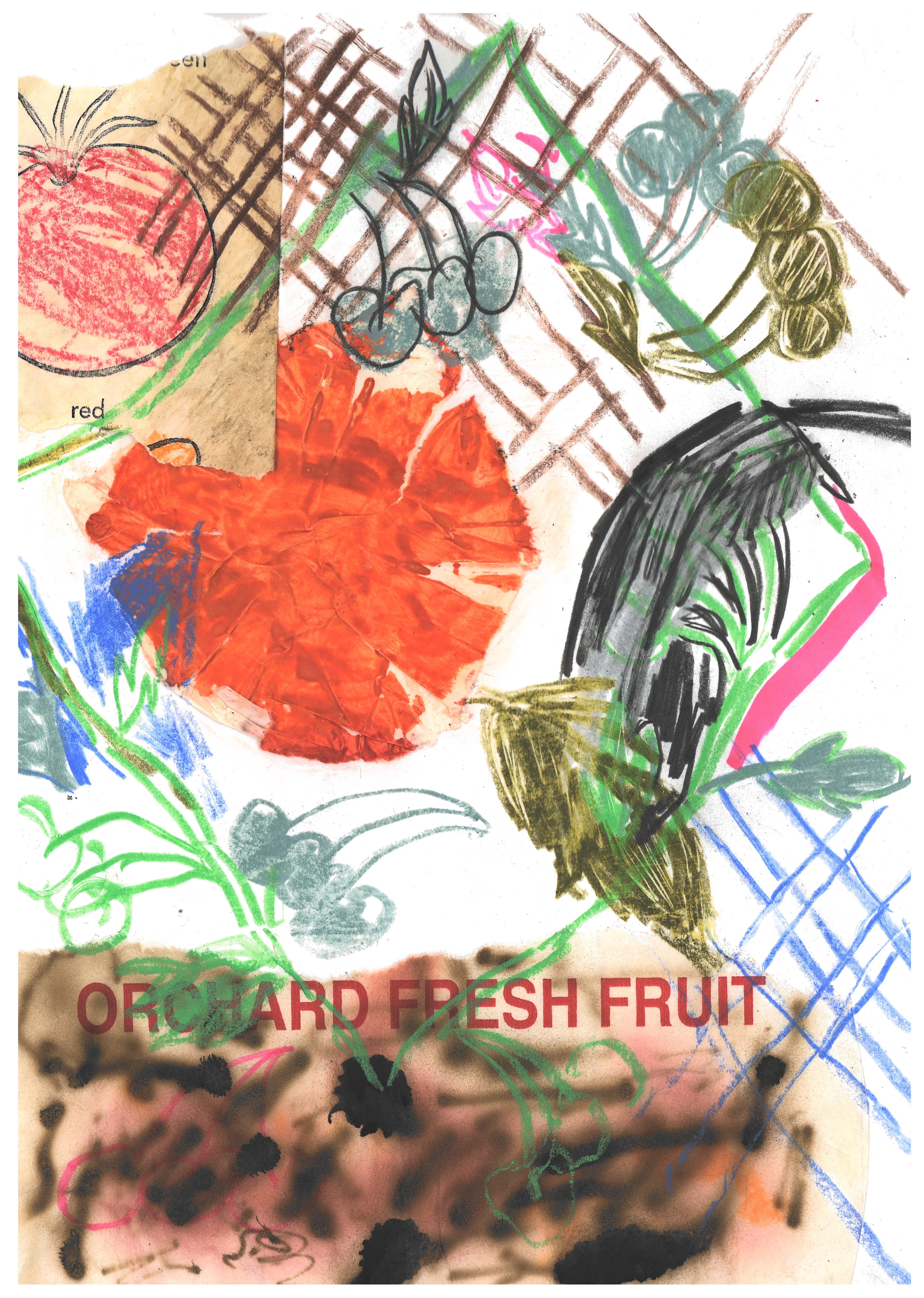"Orchard Fresh Fruit" 8.5 in x 11 in, colored pencil, graphite, marker and collage on paper, 2023