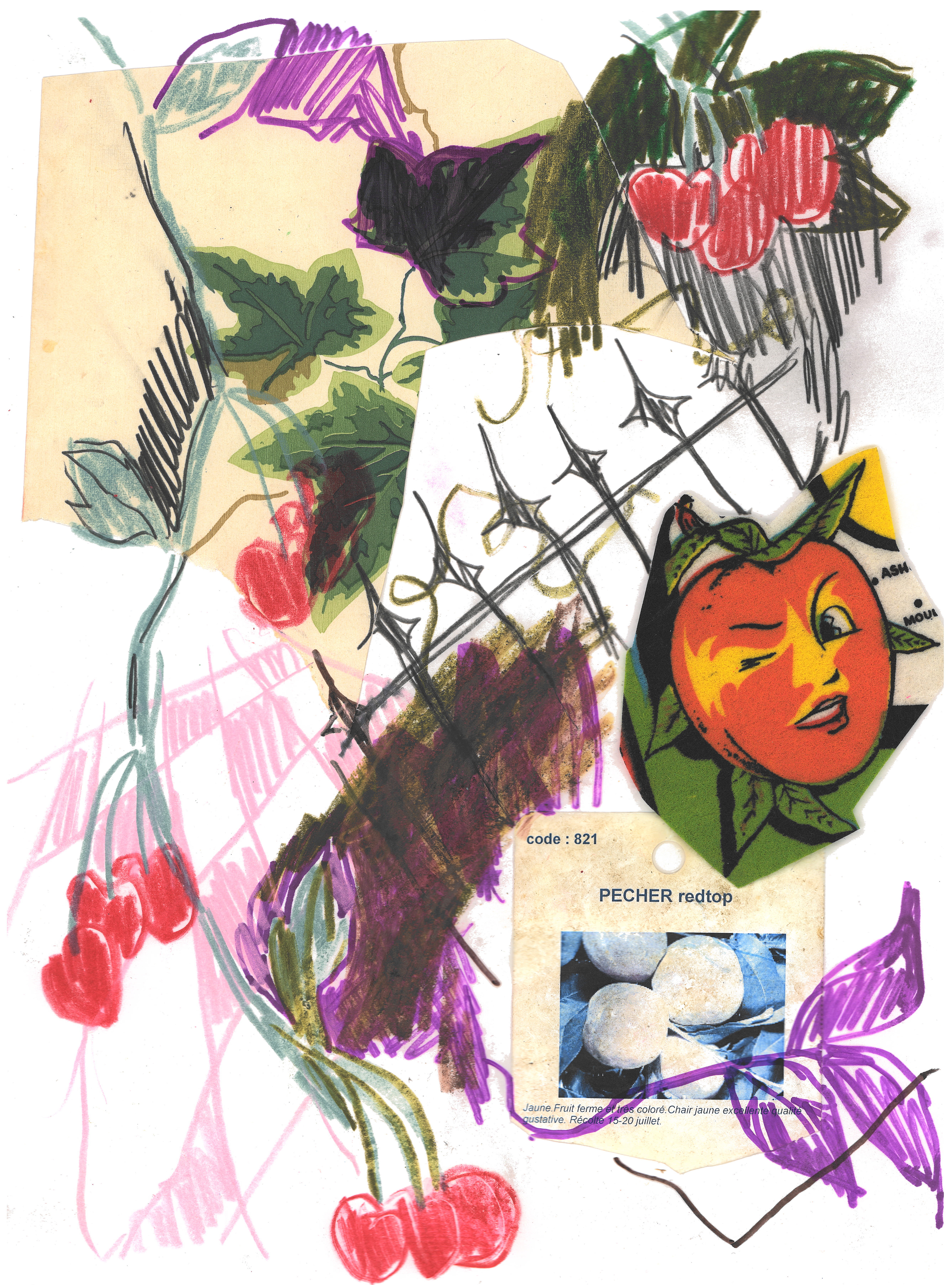 "Peach Passion" 8.5 in x 11 in, colored pencil, graphite, marker and collage on paper, 2023
