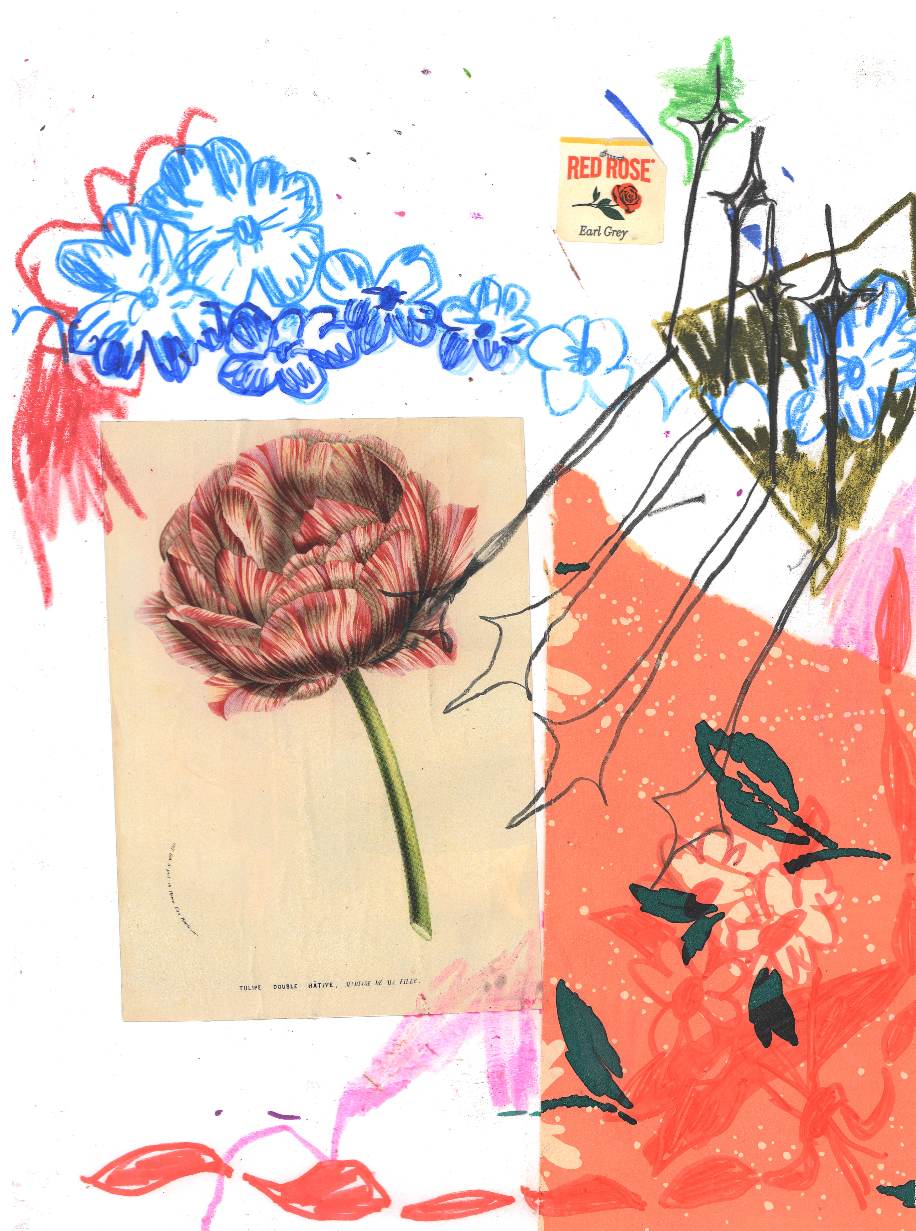 "Red Rose, Tulip Fever" 8.5 in x 11 in, colored pencil, graphite, marker and collage on paper, 2023