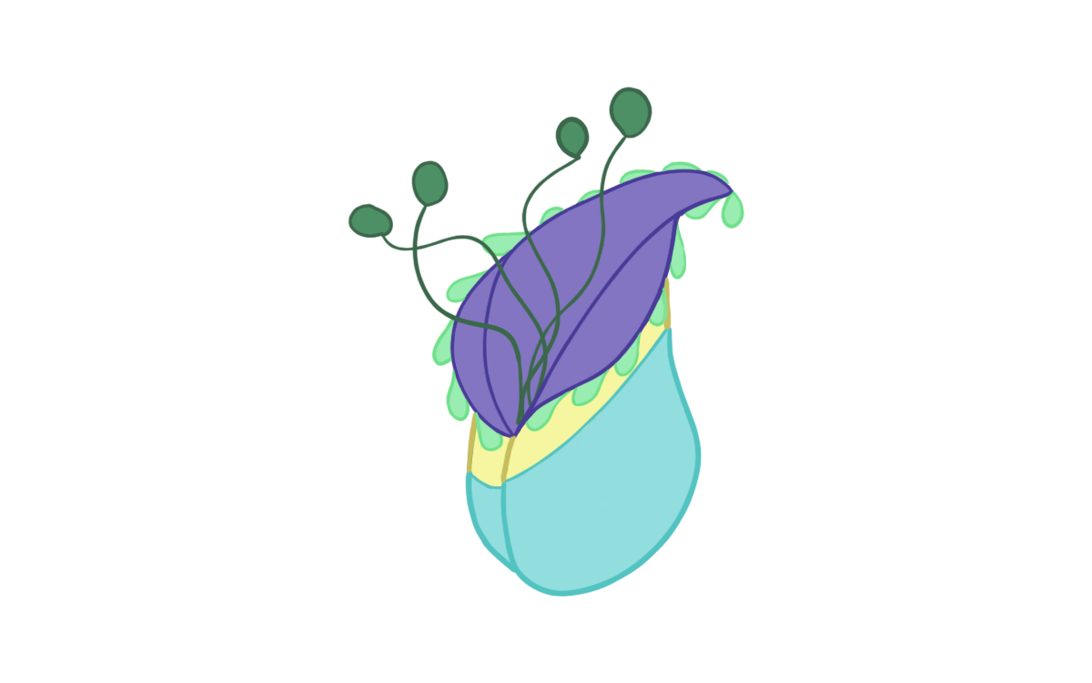 Flower Head Sprite