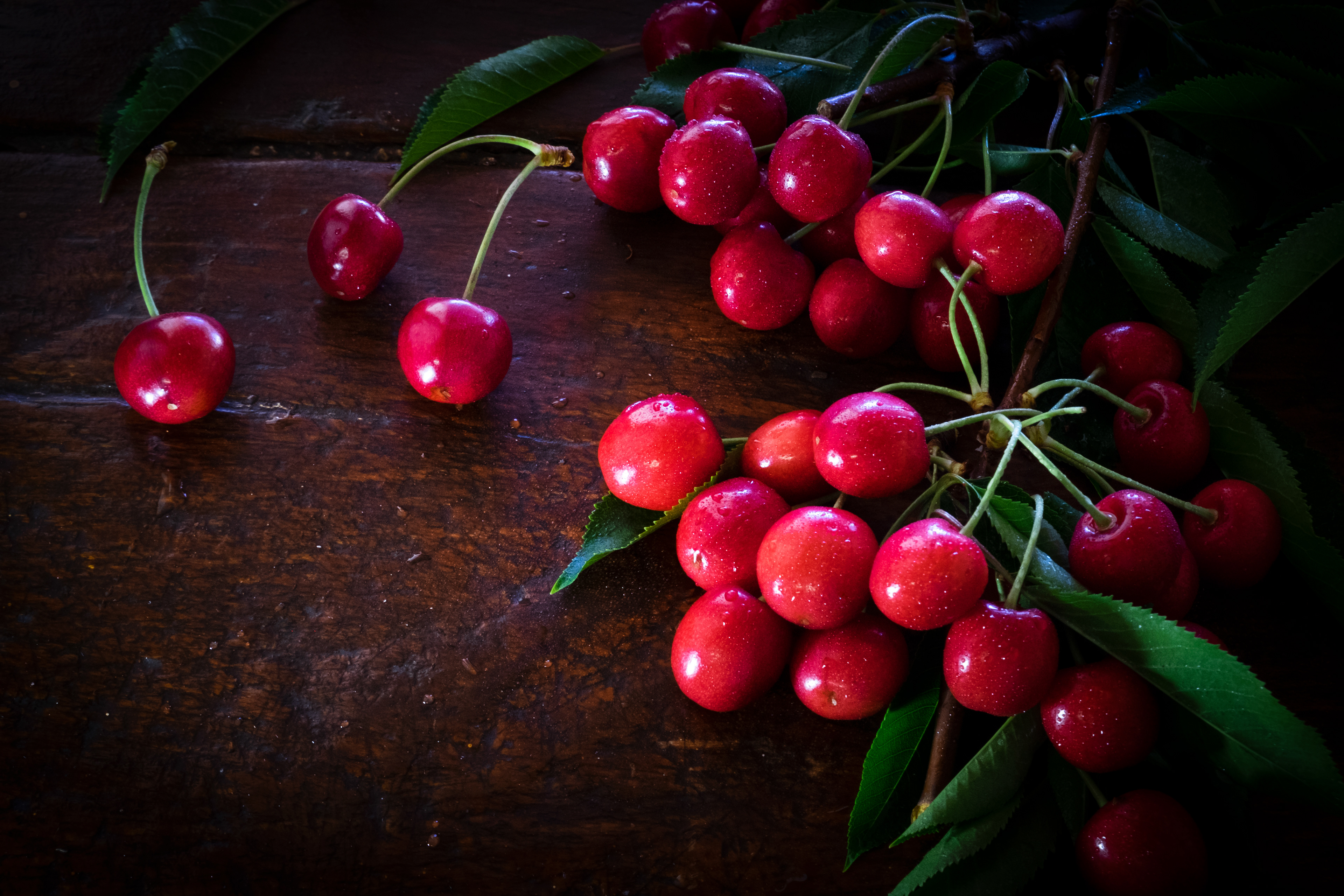 Cherries Shoot Tru-Cape