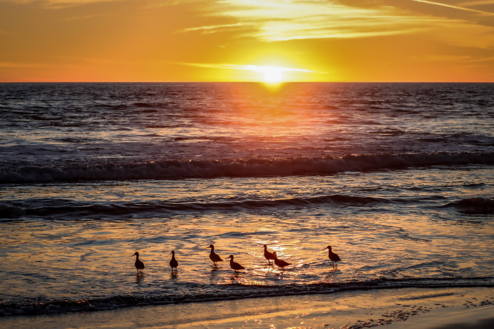 Sands Beach Sunset - Goleta, CA - 2/8/22